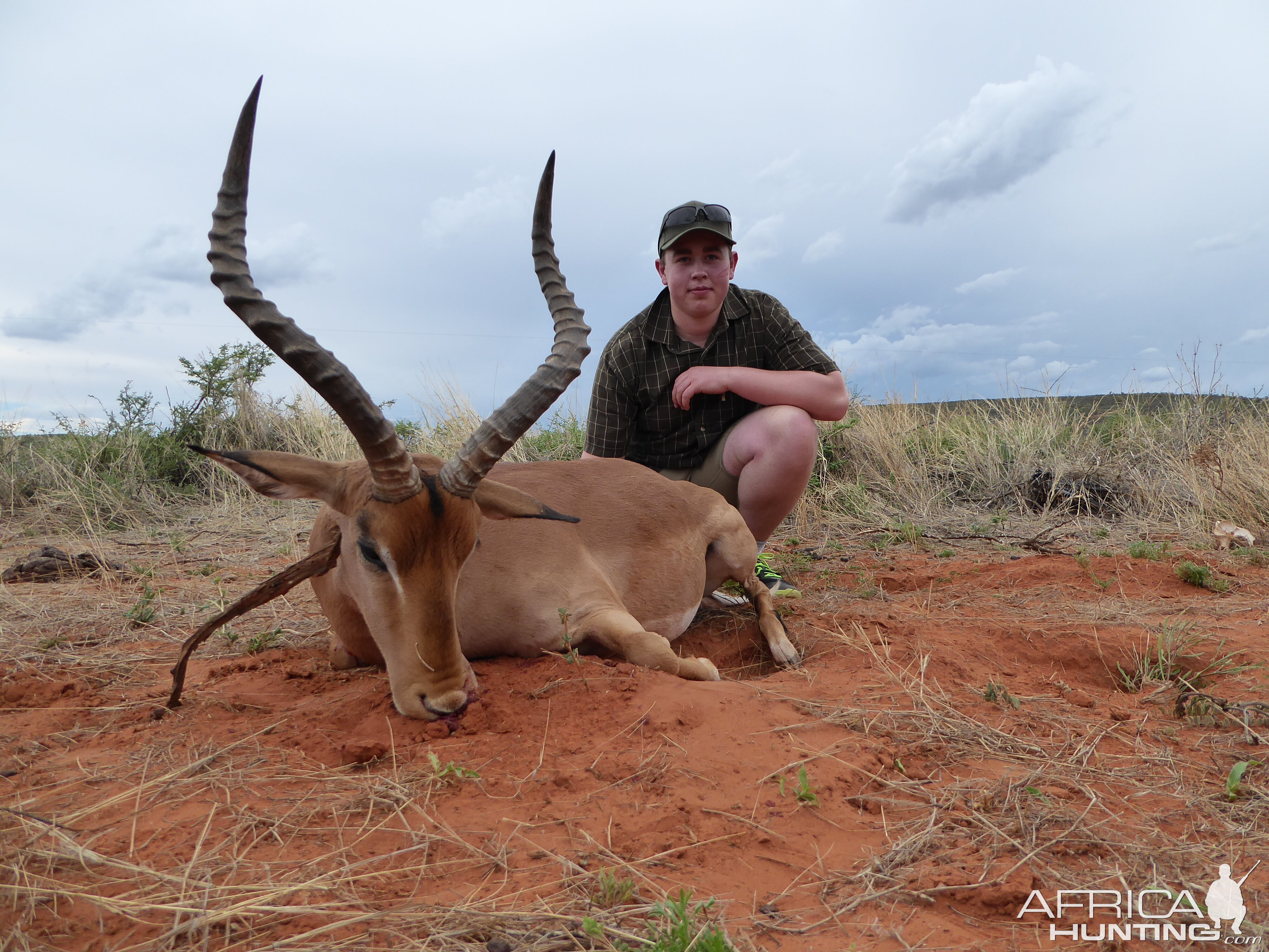 Impala Hunting Namibia