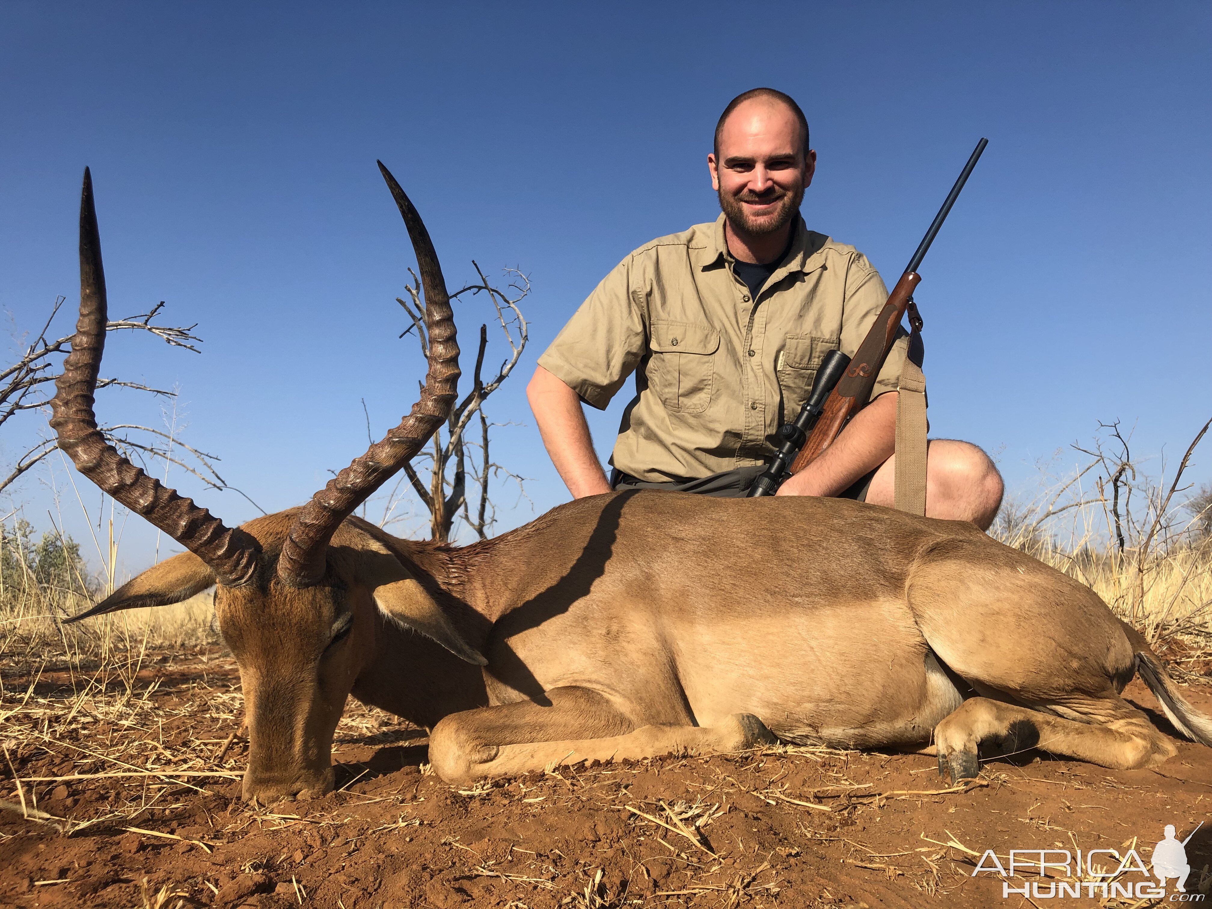 Impala Hunting Namibia