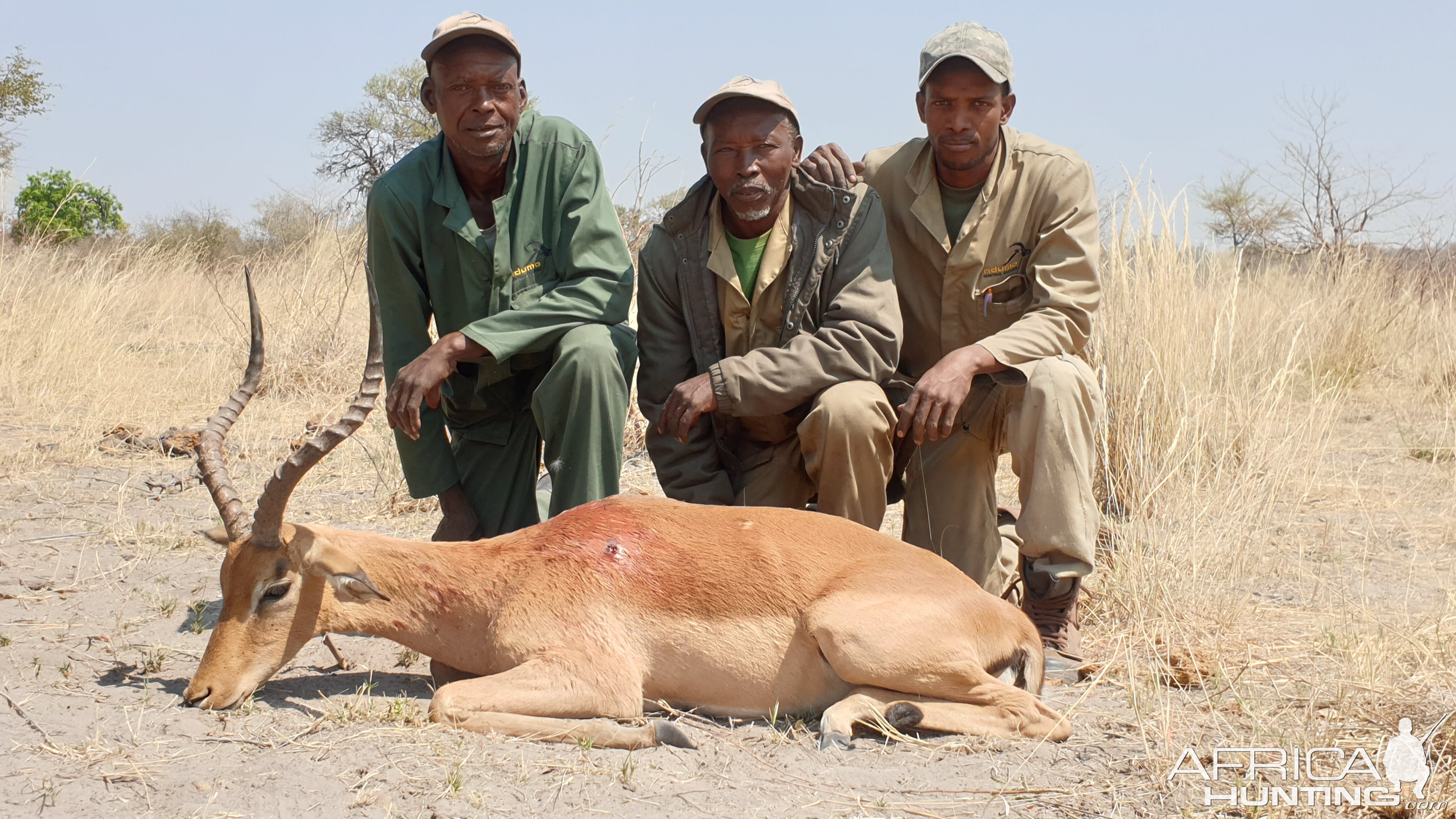 Impala Hunting Namibia