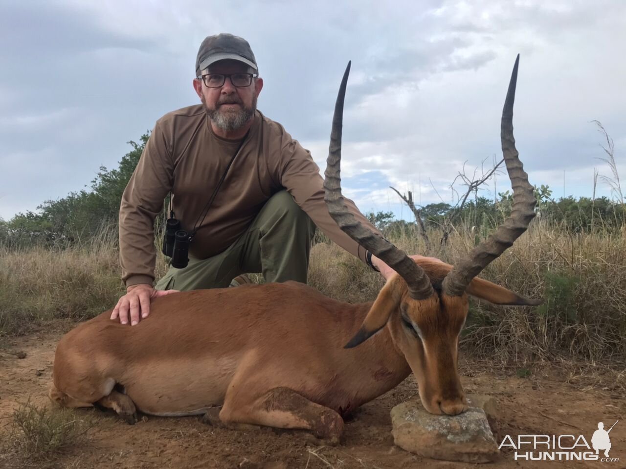 Impala Hunting South Africa