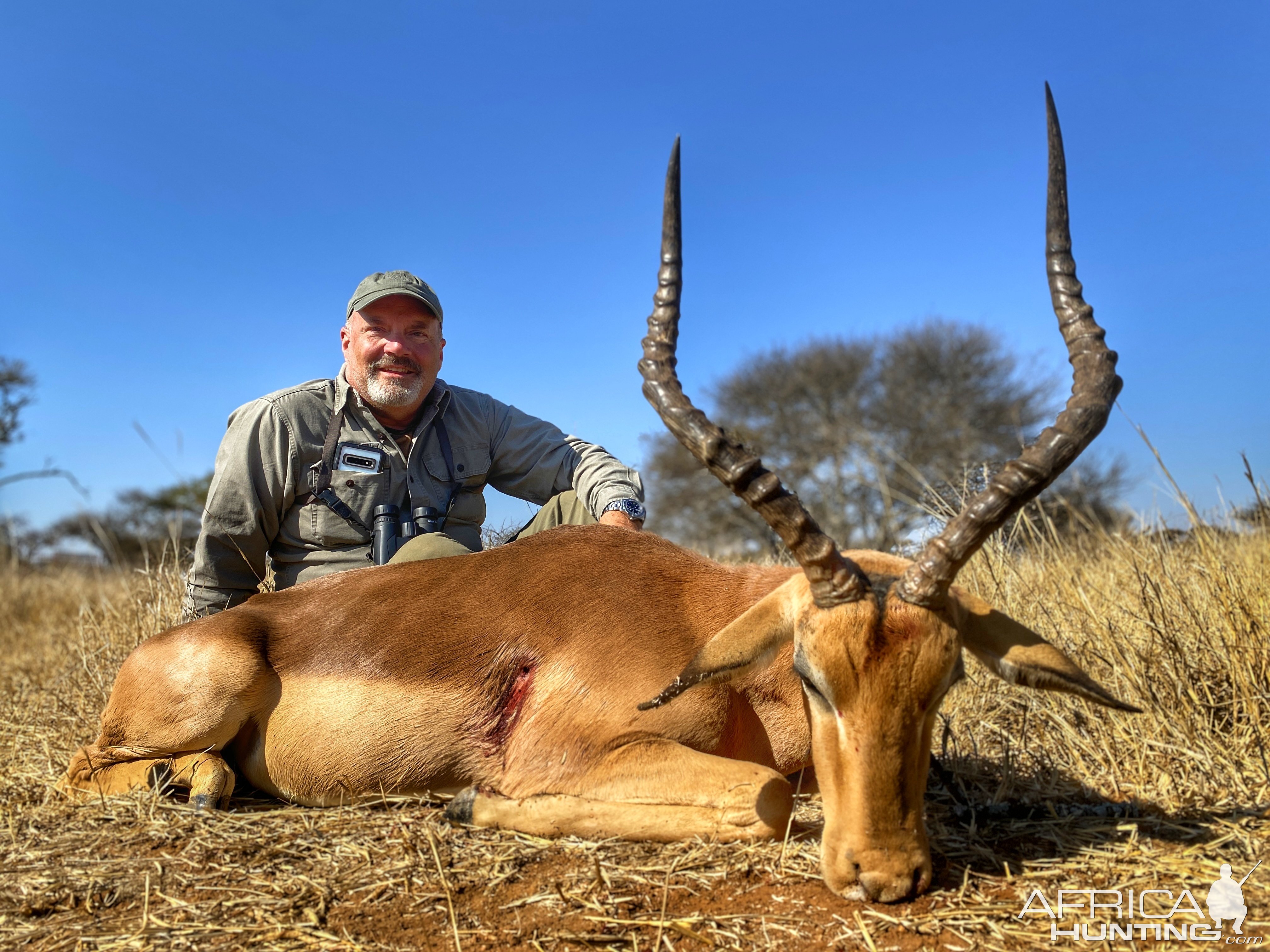 Impala Hunting South Africa