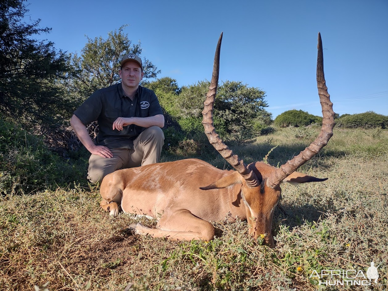 Impala Hunting South Africa