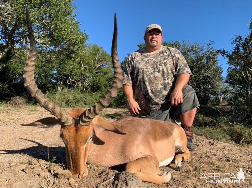 Impala Hunting South Africa