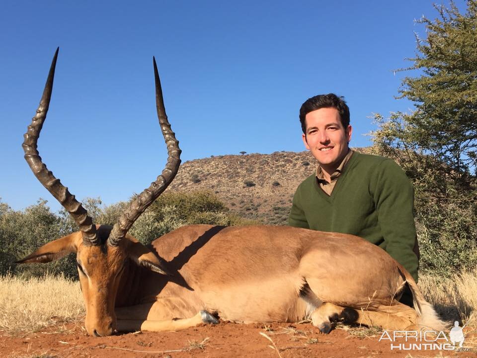 Impala Hunting South Africa