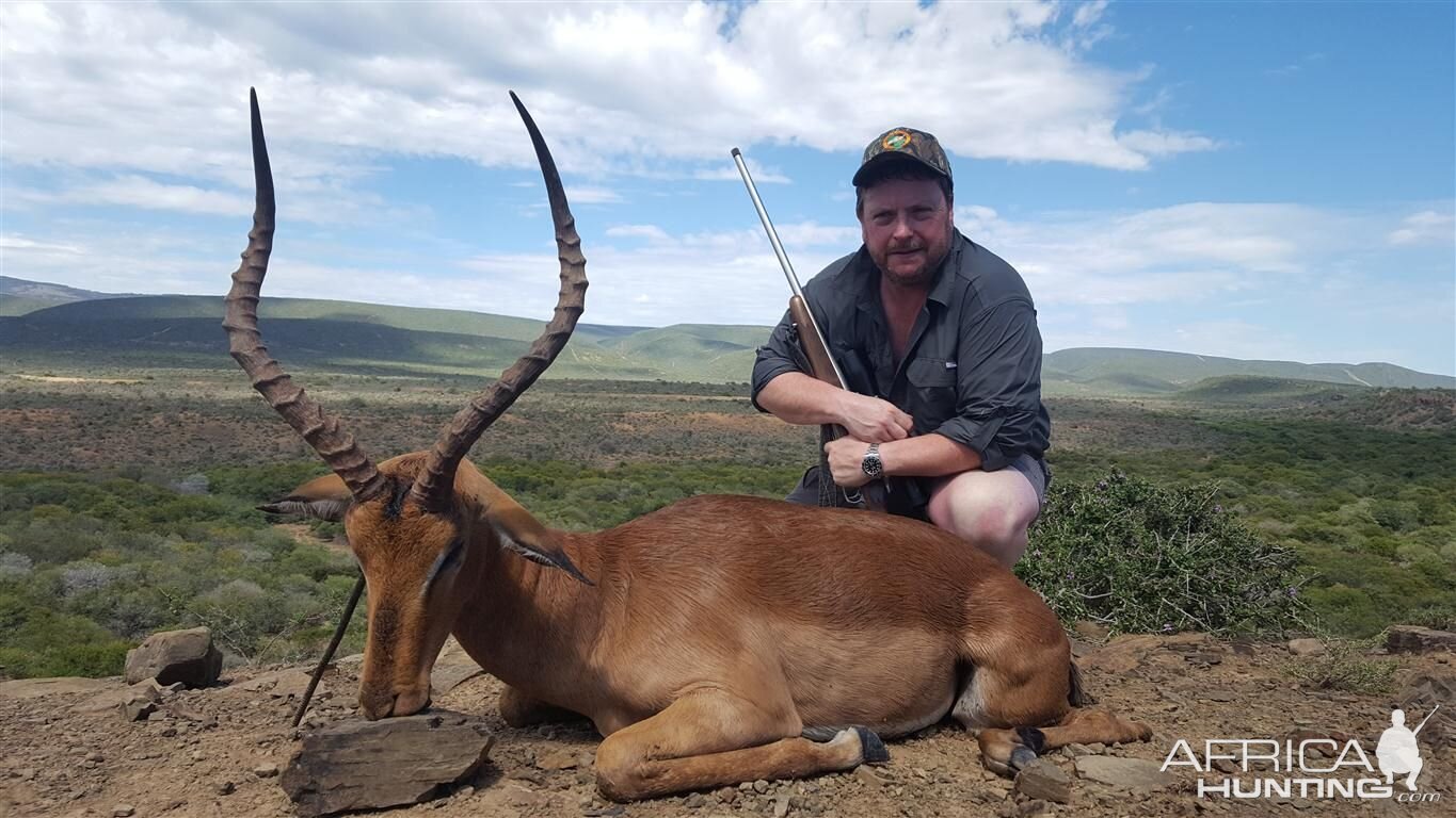 Impala Hunting South Africa