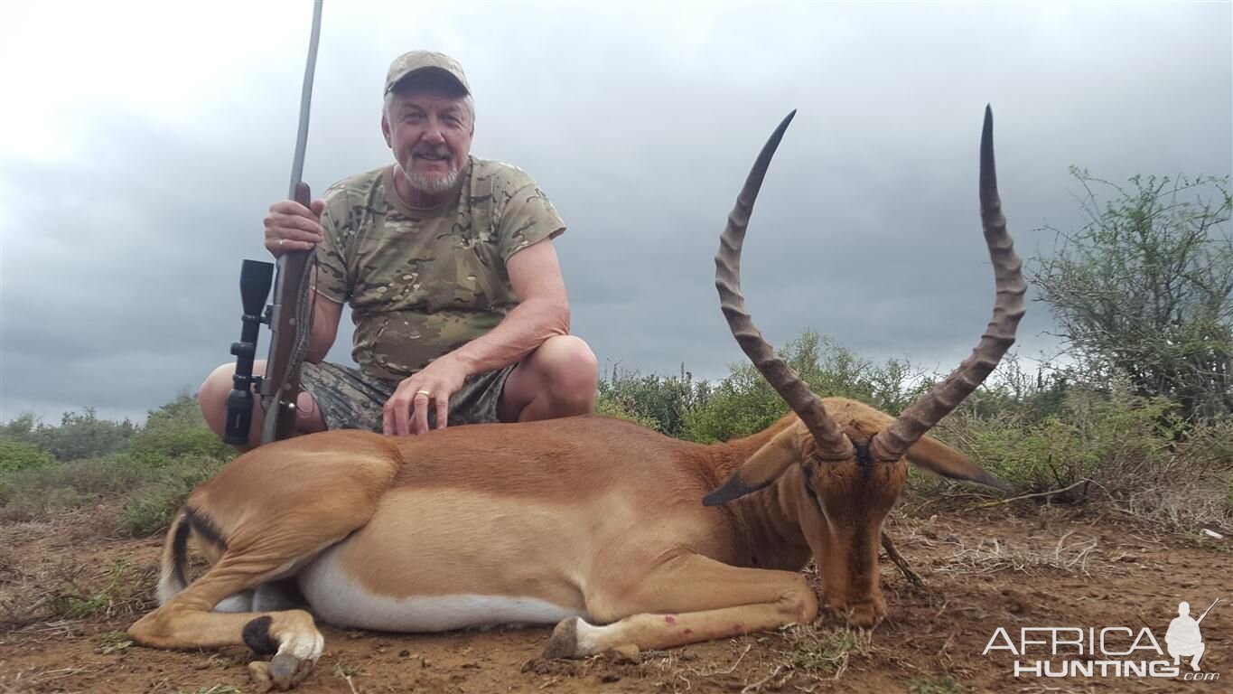 Impala Hunting South Africa