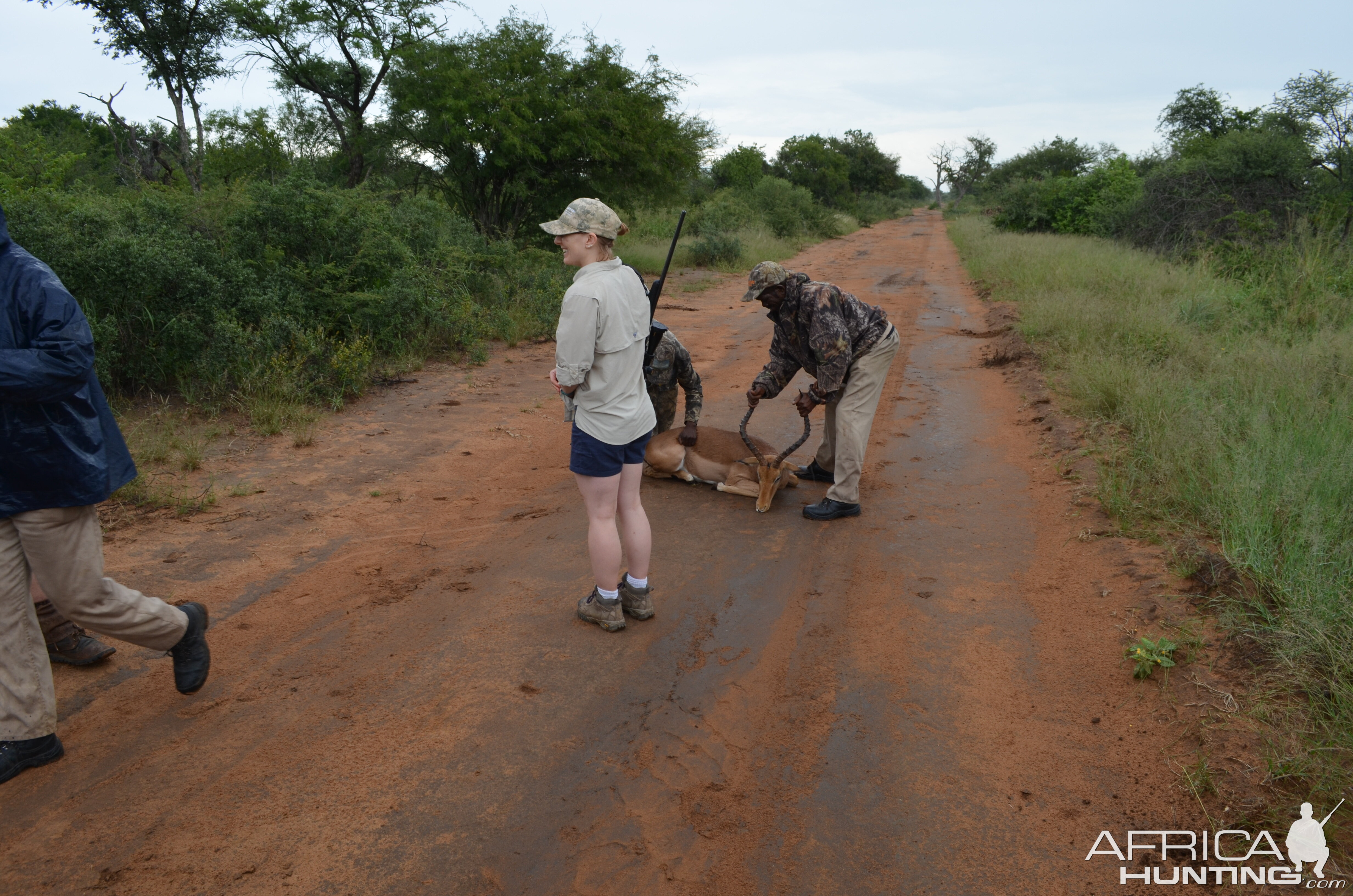 Impala Hunting South Africa