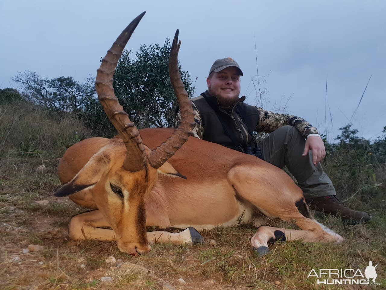 Impala Hunting South Africa