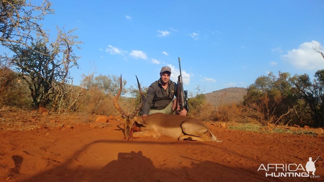 Impala Hunting South Africa