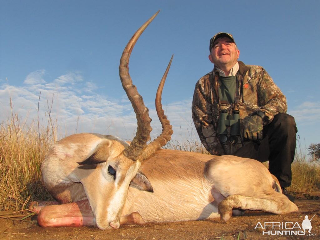 Impala Hunting South Africa