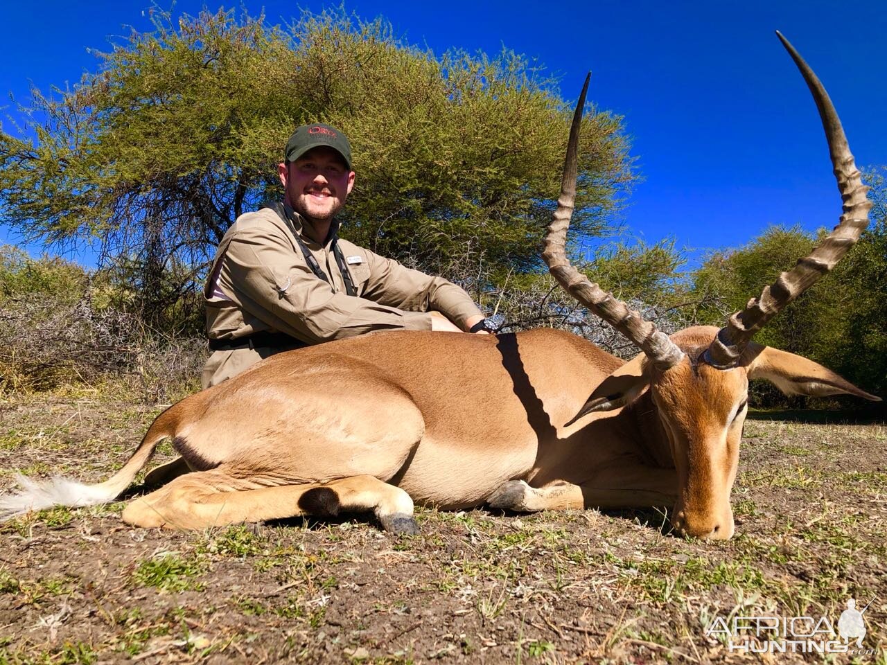 Impala Hunting South Africa