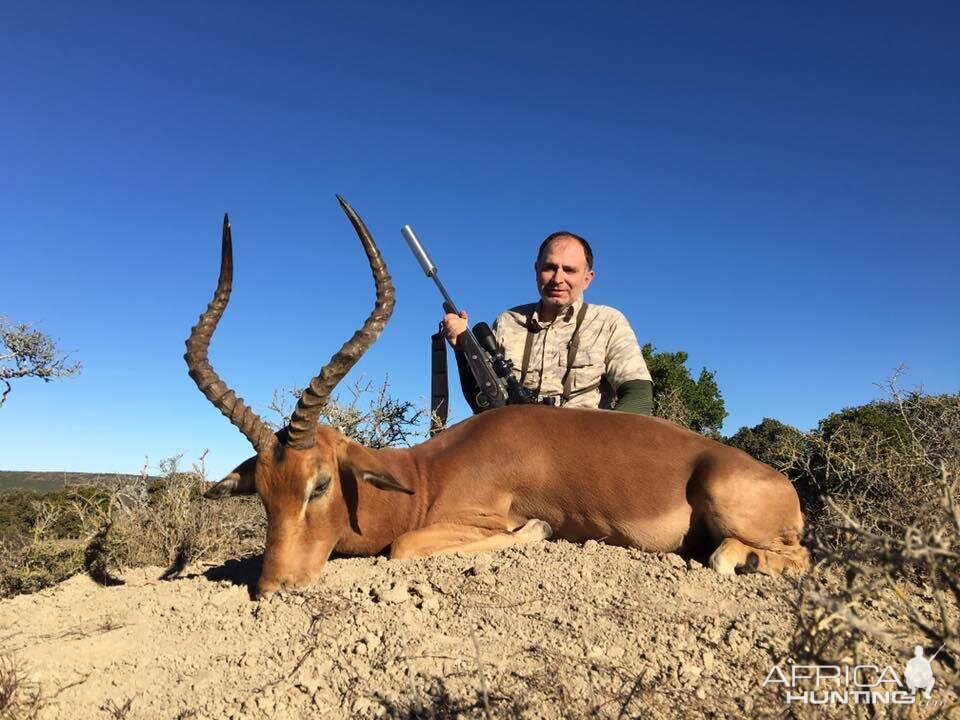 Impala Hunting South Africa