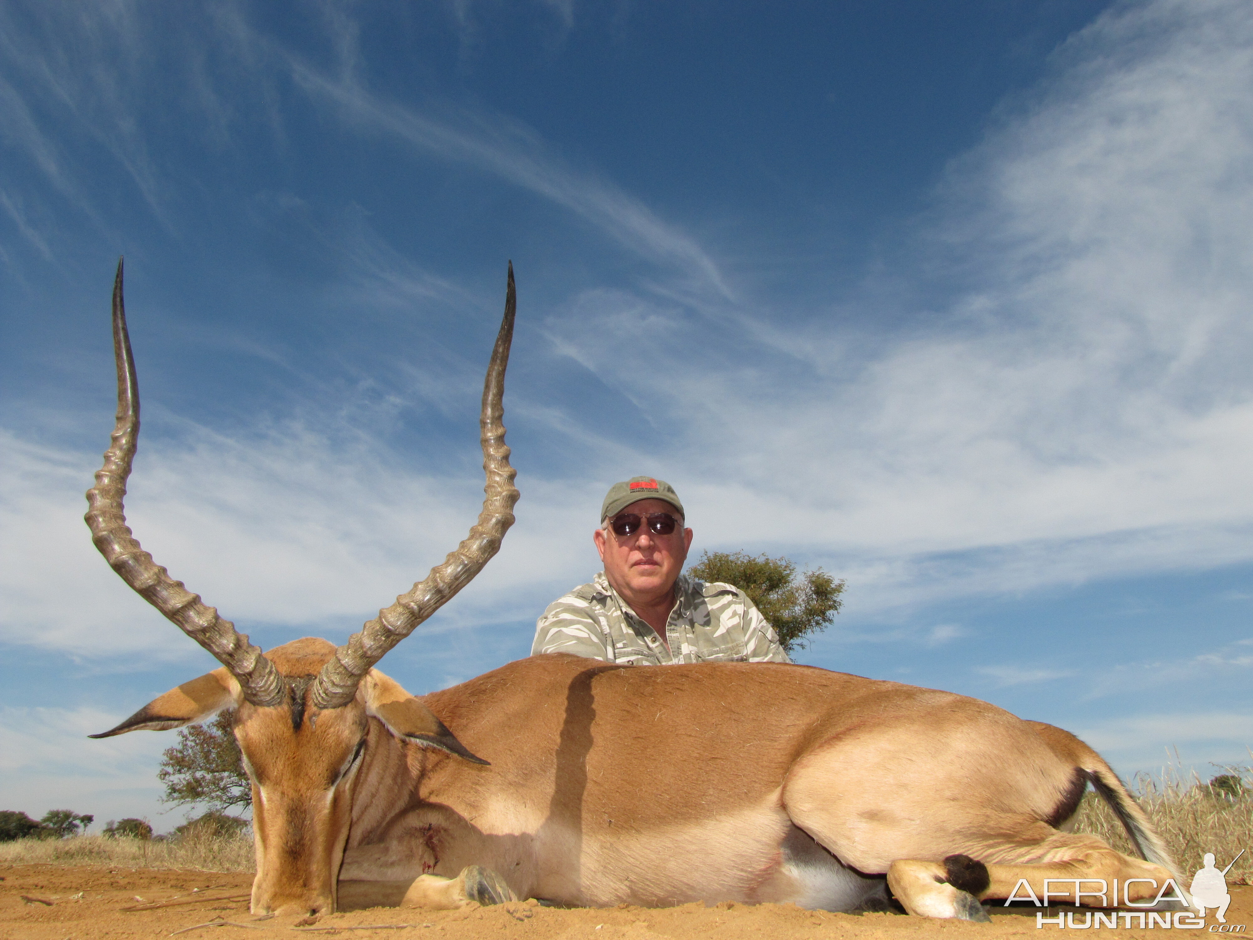 Impala Hunting South Africa