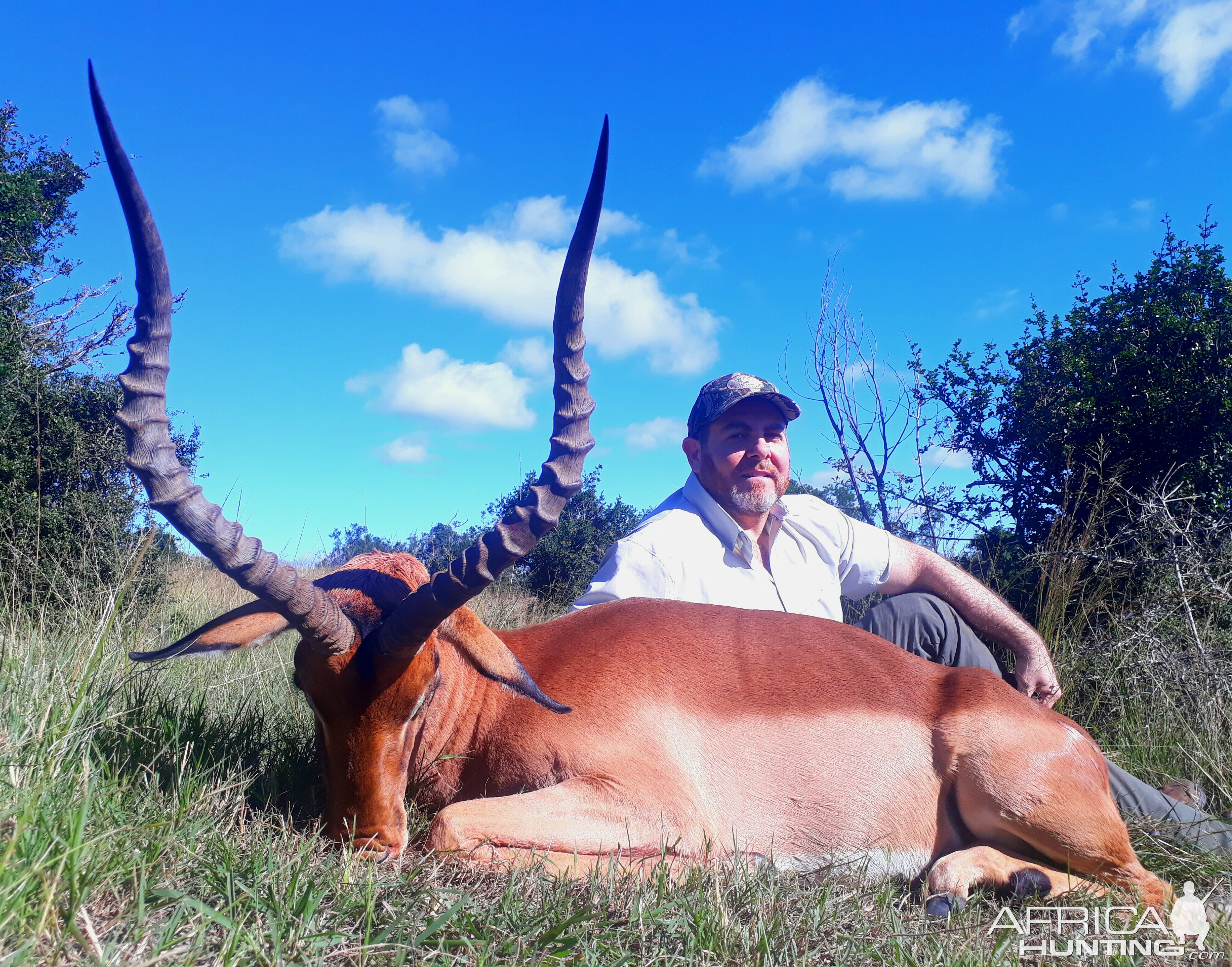 Impala Hunting South Africa