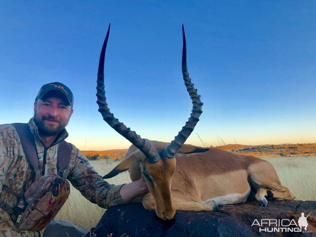 Impala Hunting South Africa