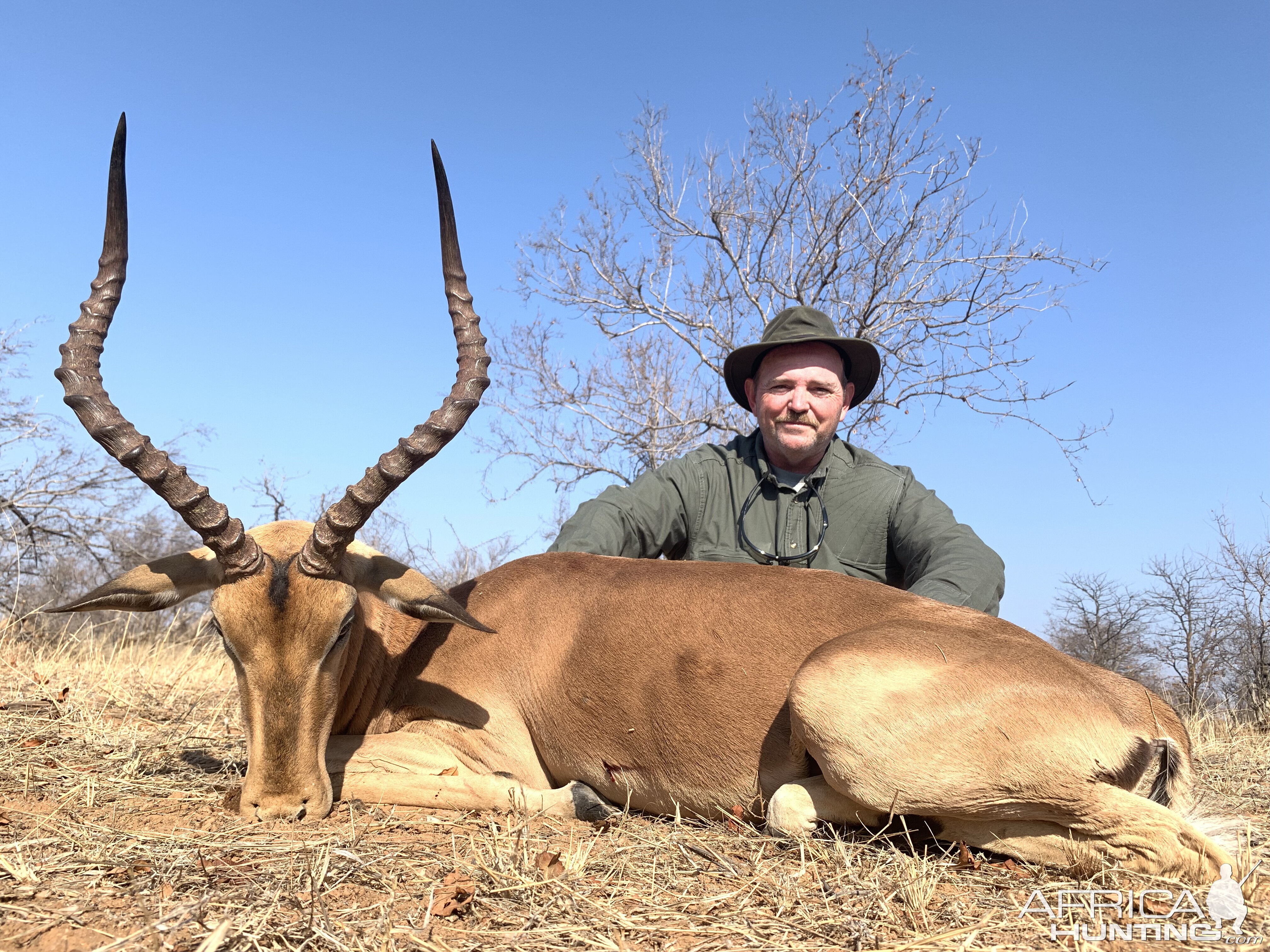 Impala Hunting South Africa