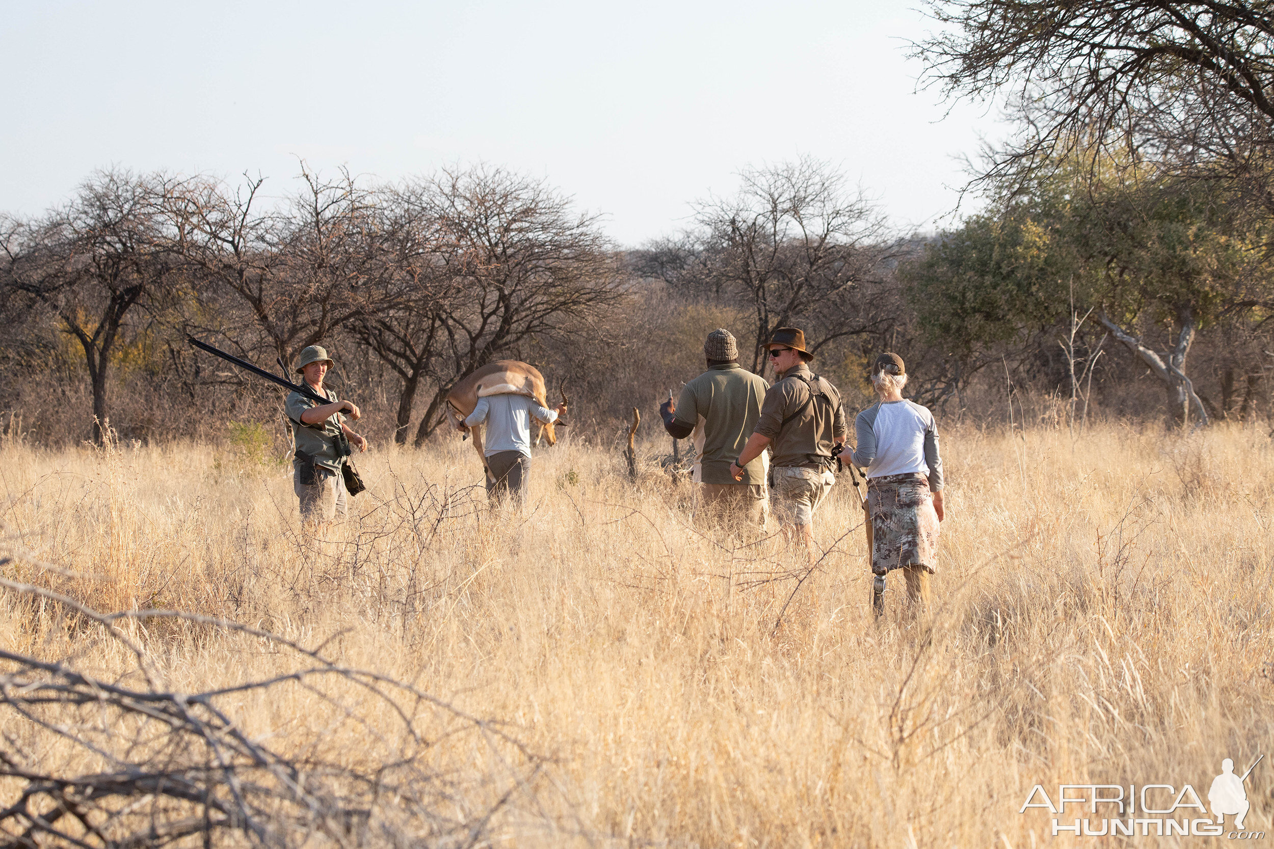 Impala Hunting South Africa