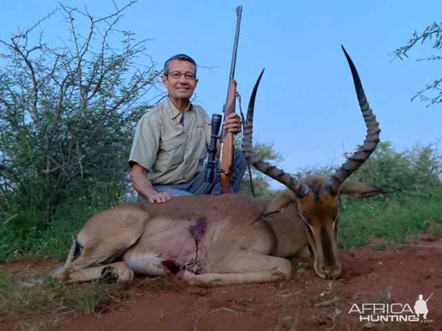 Impala Hunting South Africa