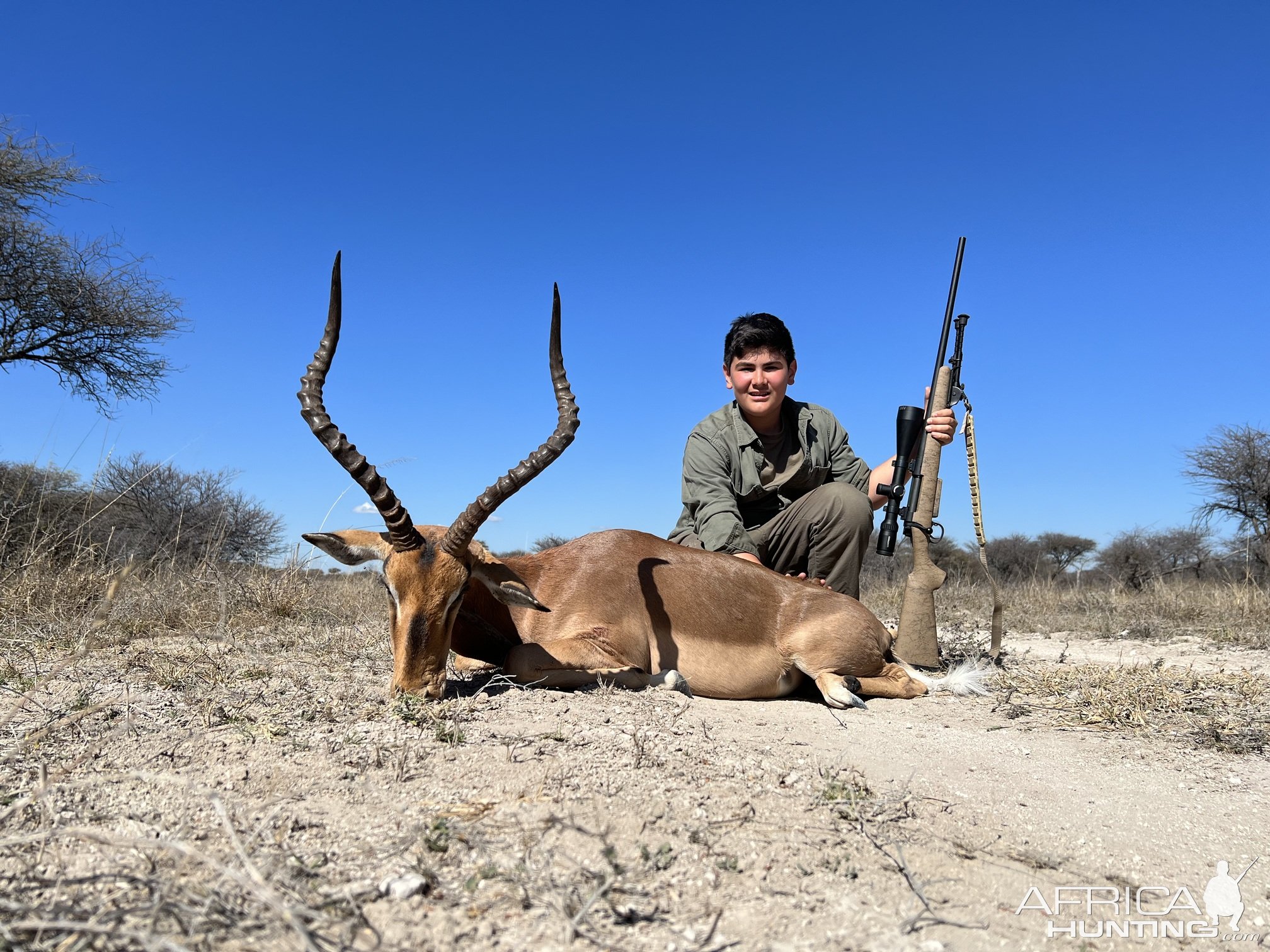 Impala Hunting Thabazimbi Limpopo South Africa