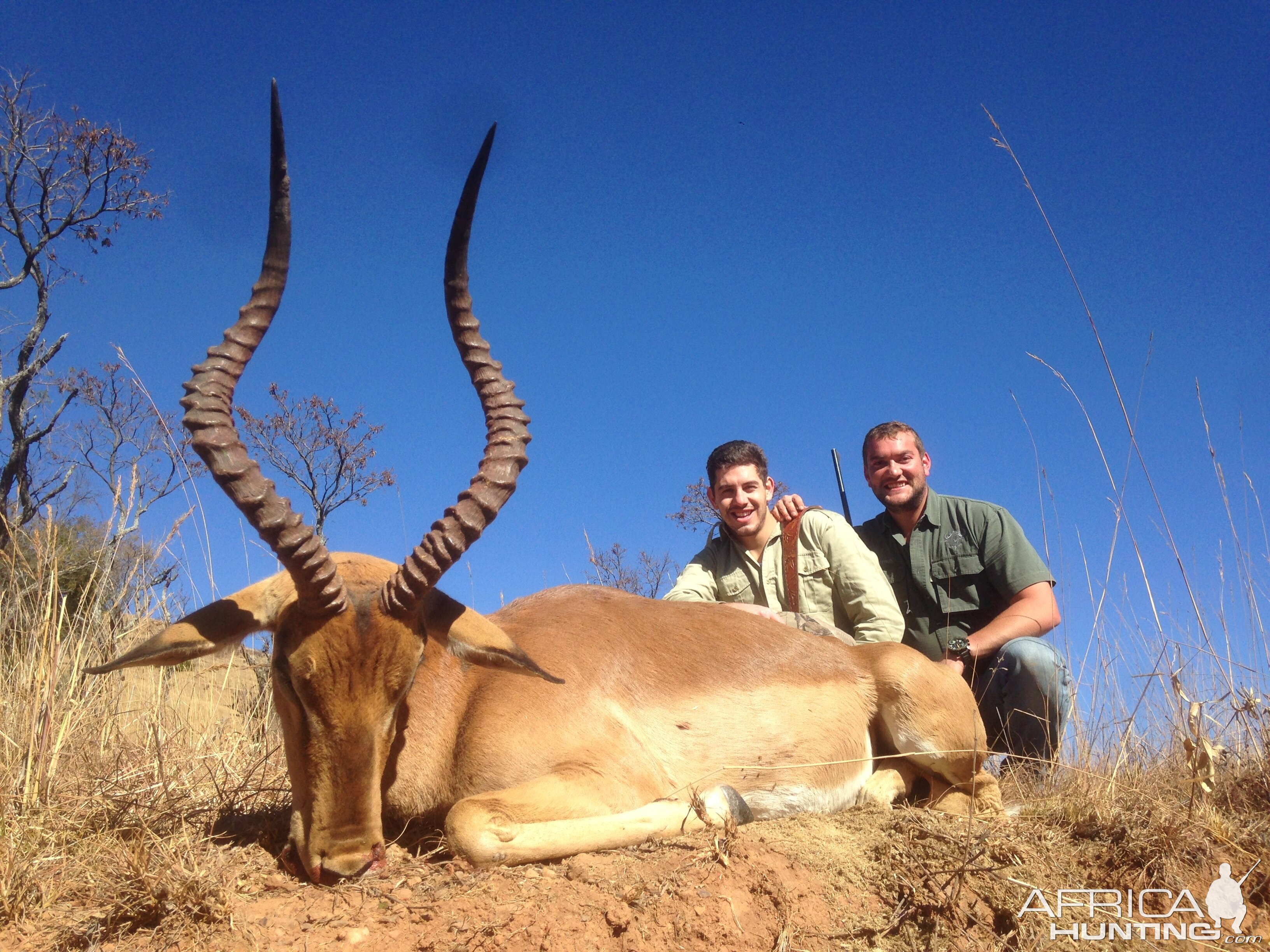 Impala Hunting with Pro Hunting Safaris