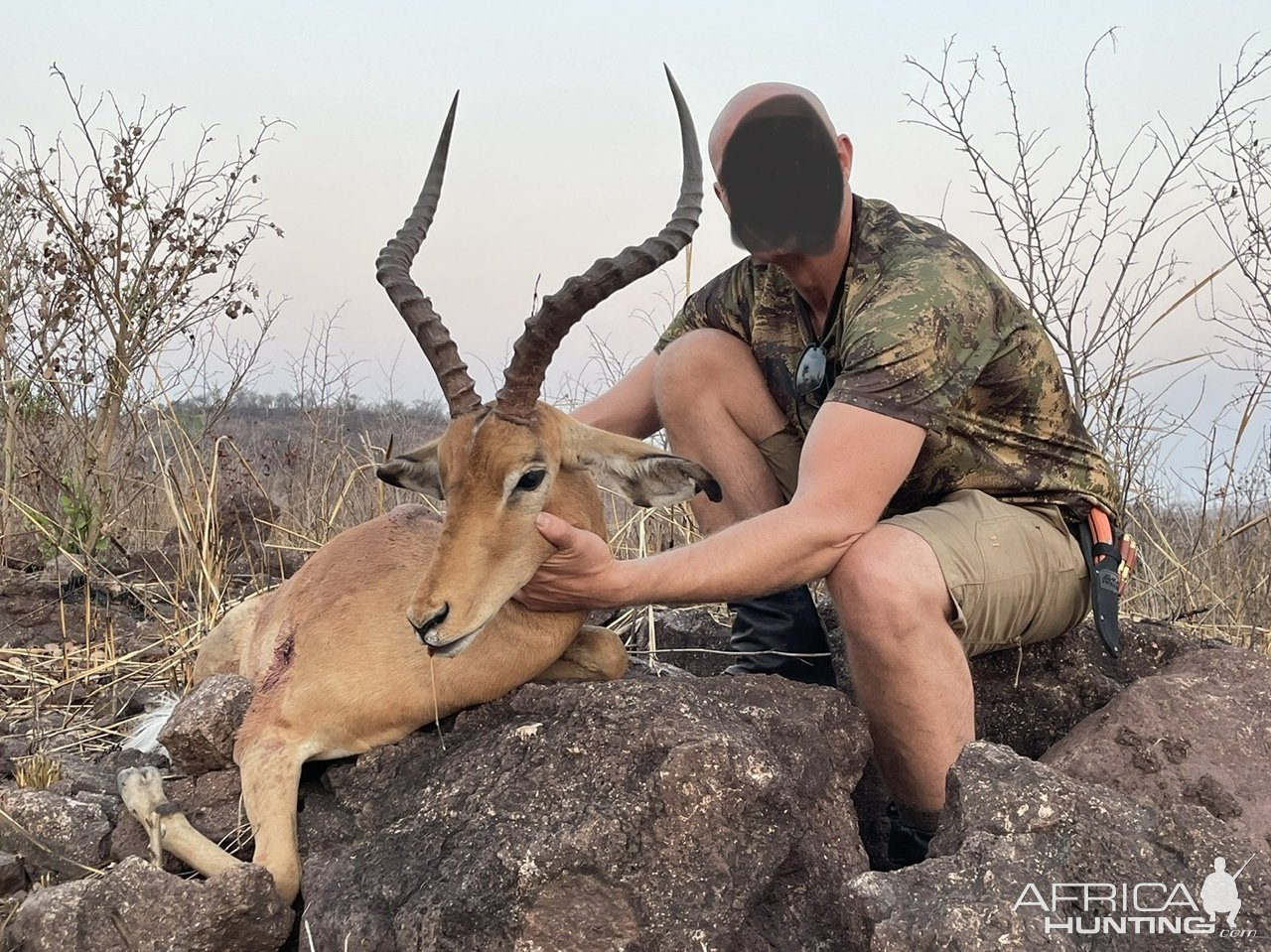 Impala Hunting Zimbabwe