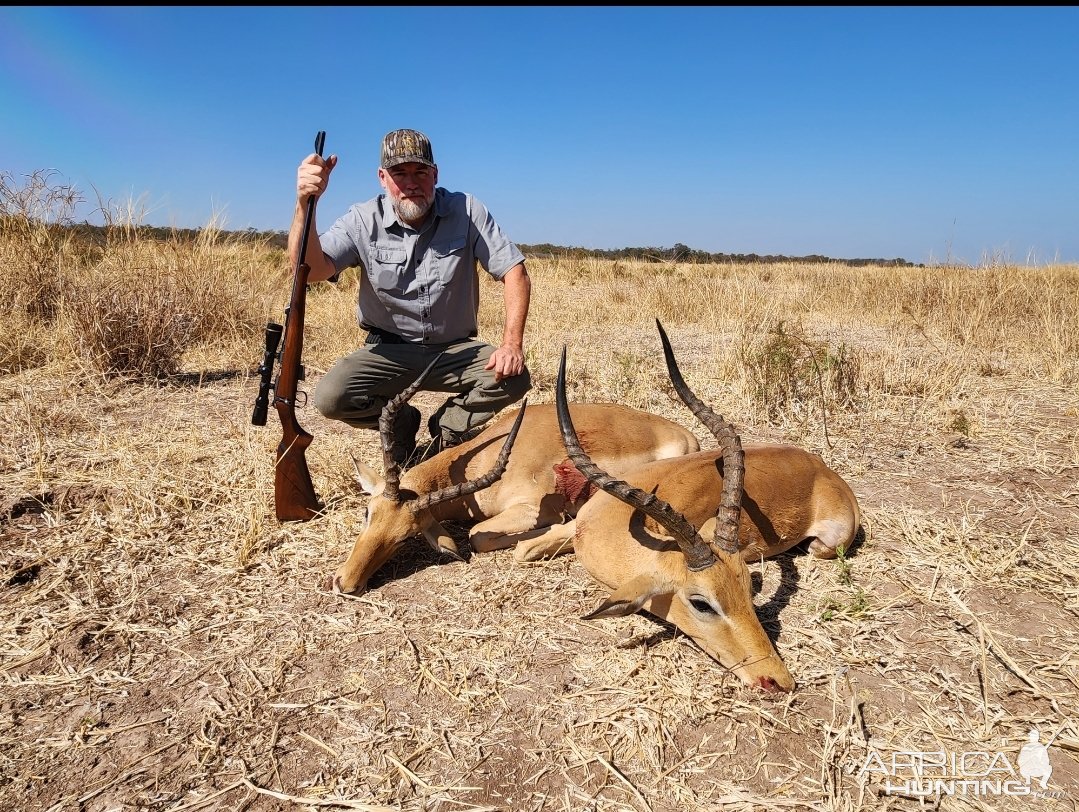 Impala Hunting Zimbabwe