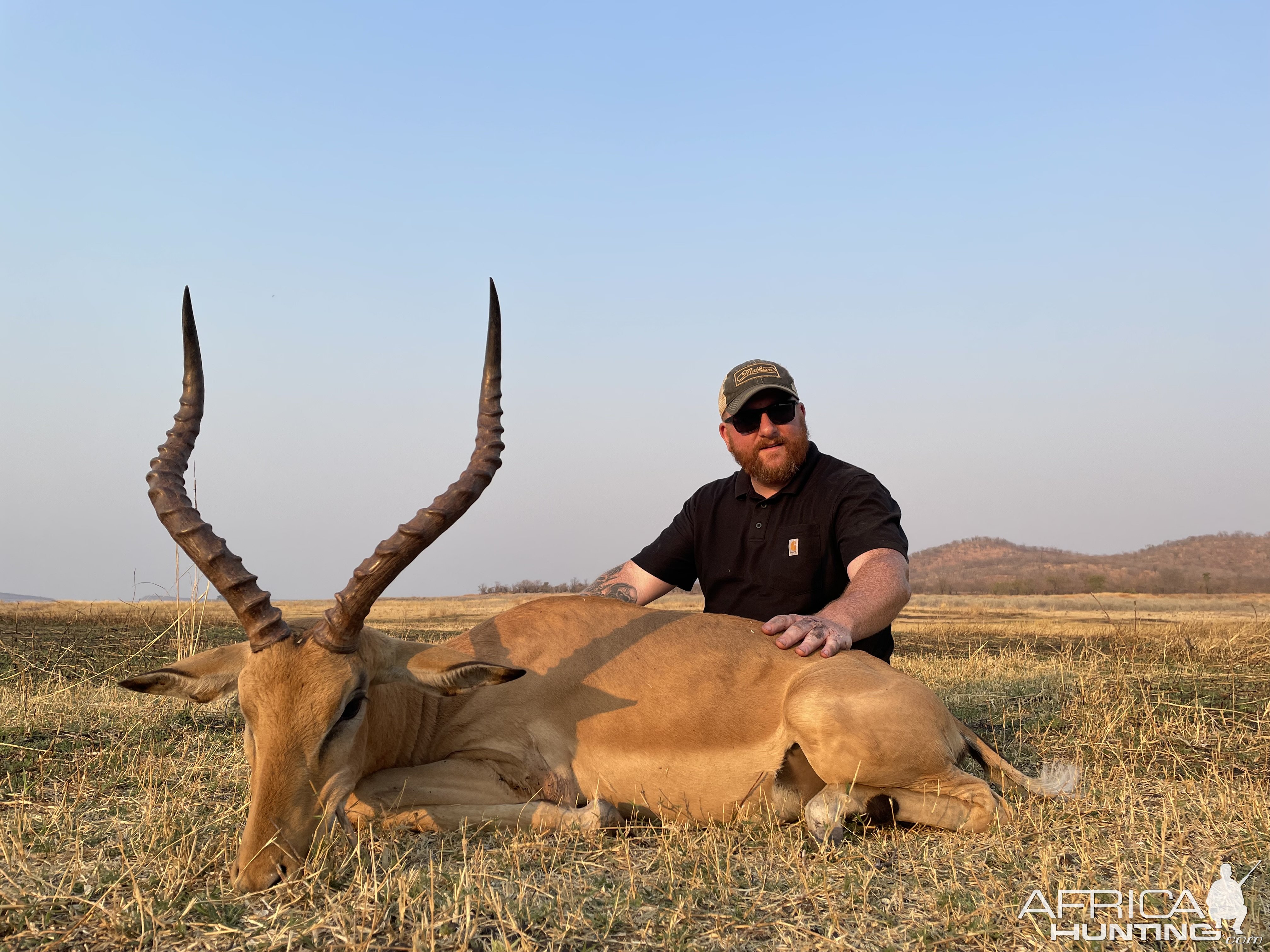 Impala Hunting Zimbabwe