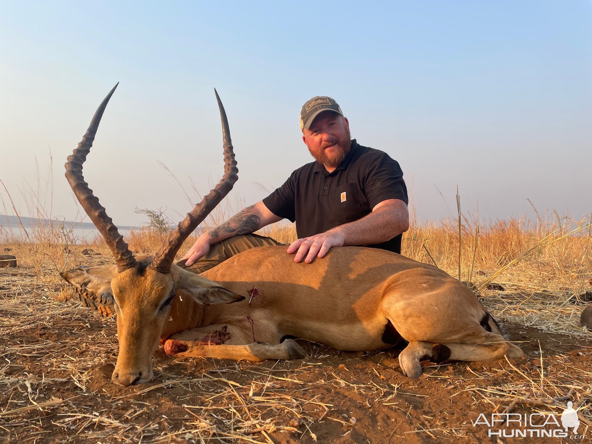 Impala Hunting Zimbabwe