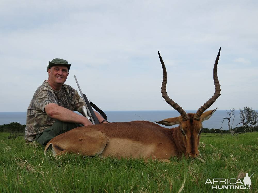 Impala Hunting