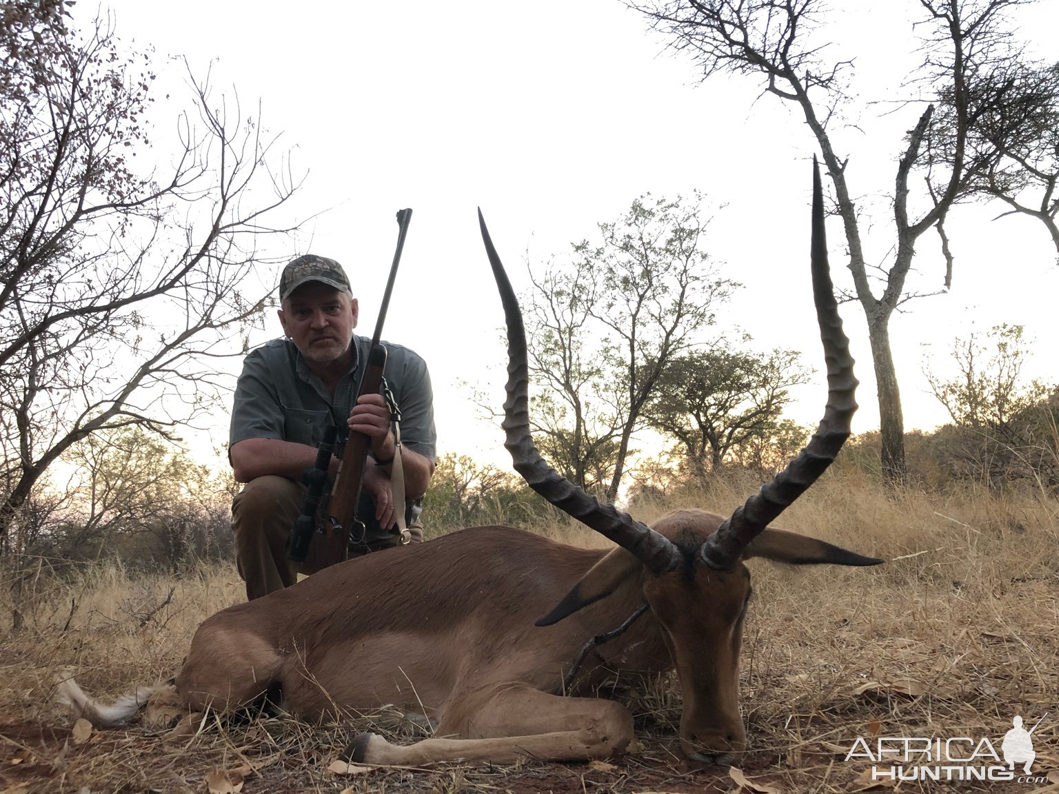 Impala Hunting