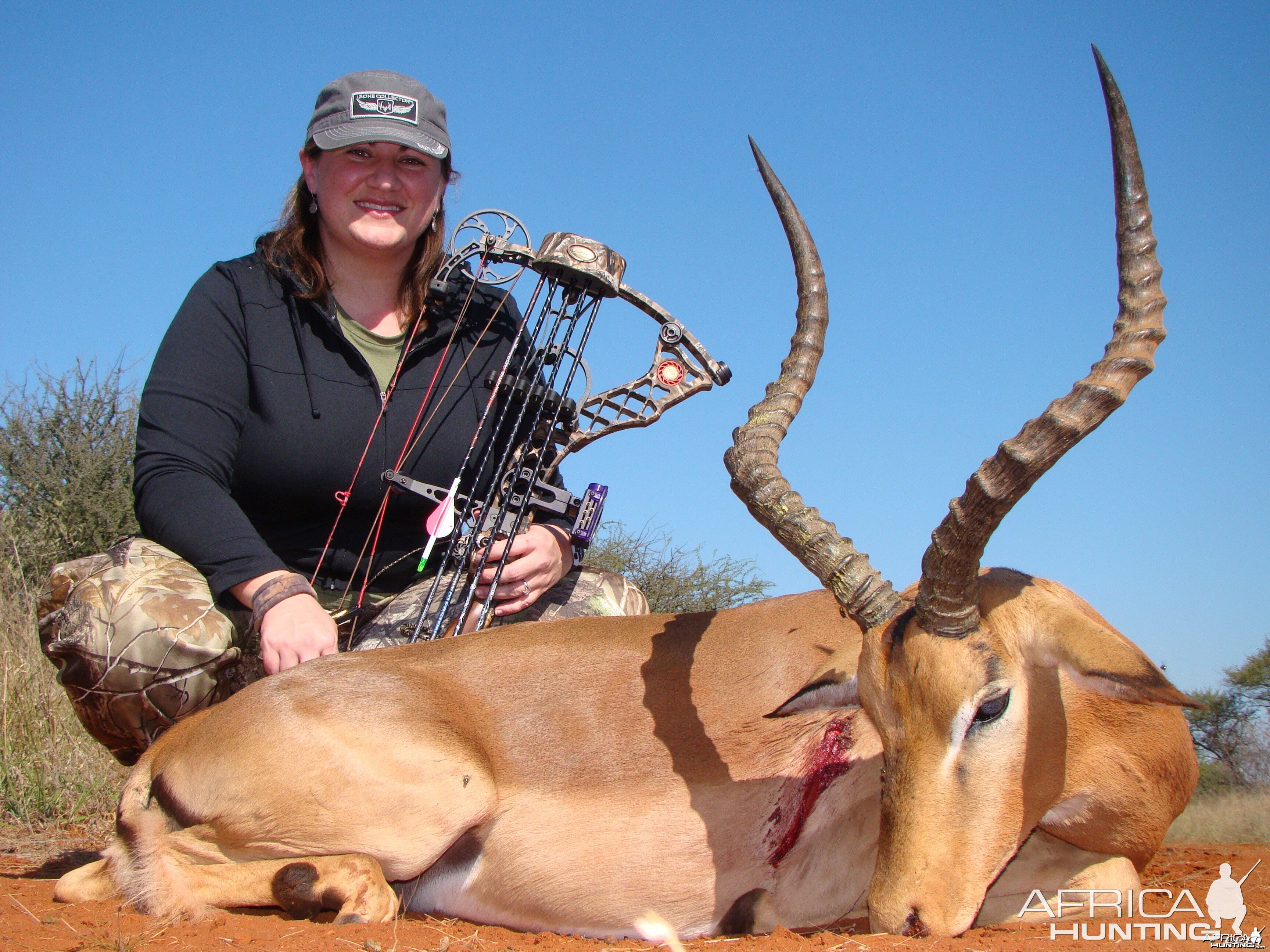 Impala Limcroma Safaris