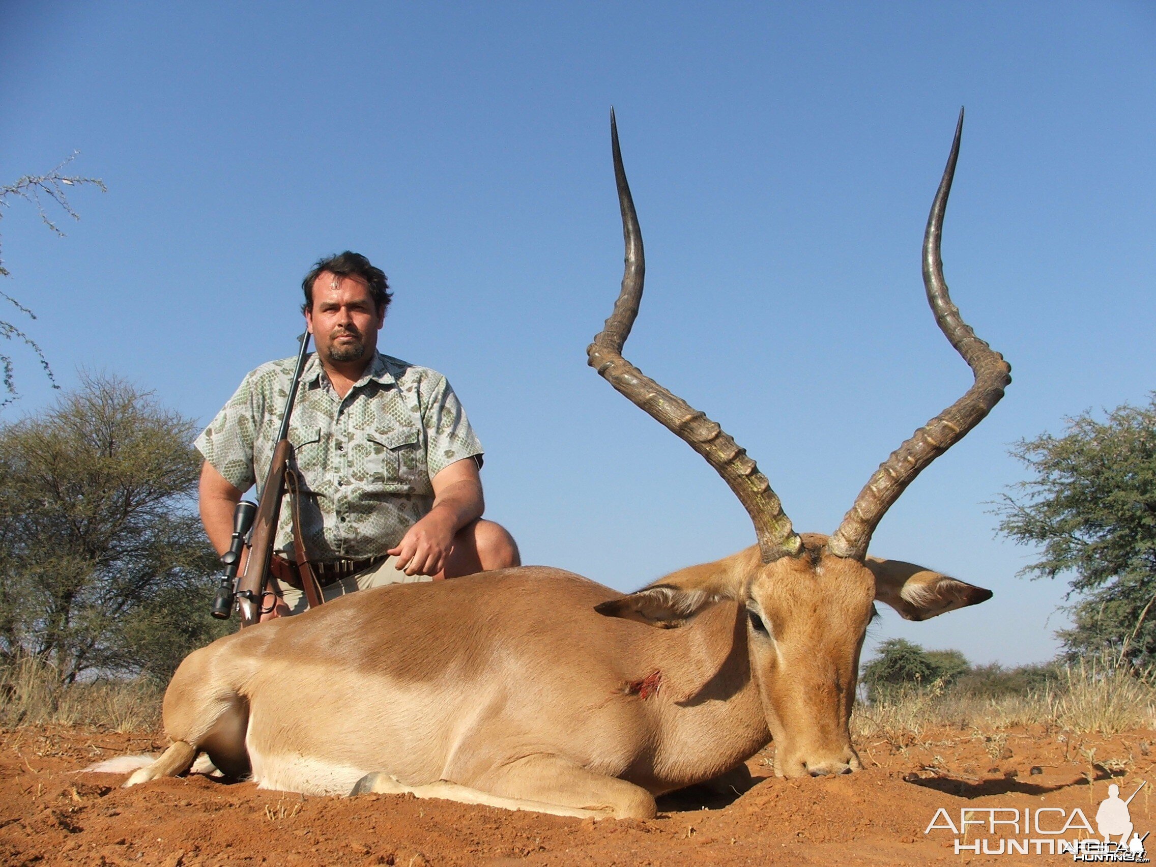 Impala Limcroma Safaris