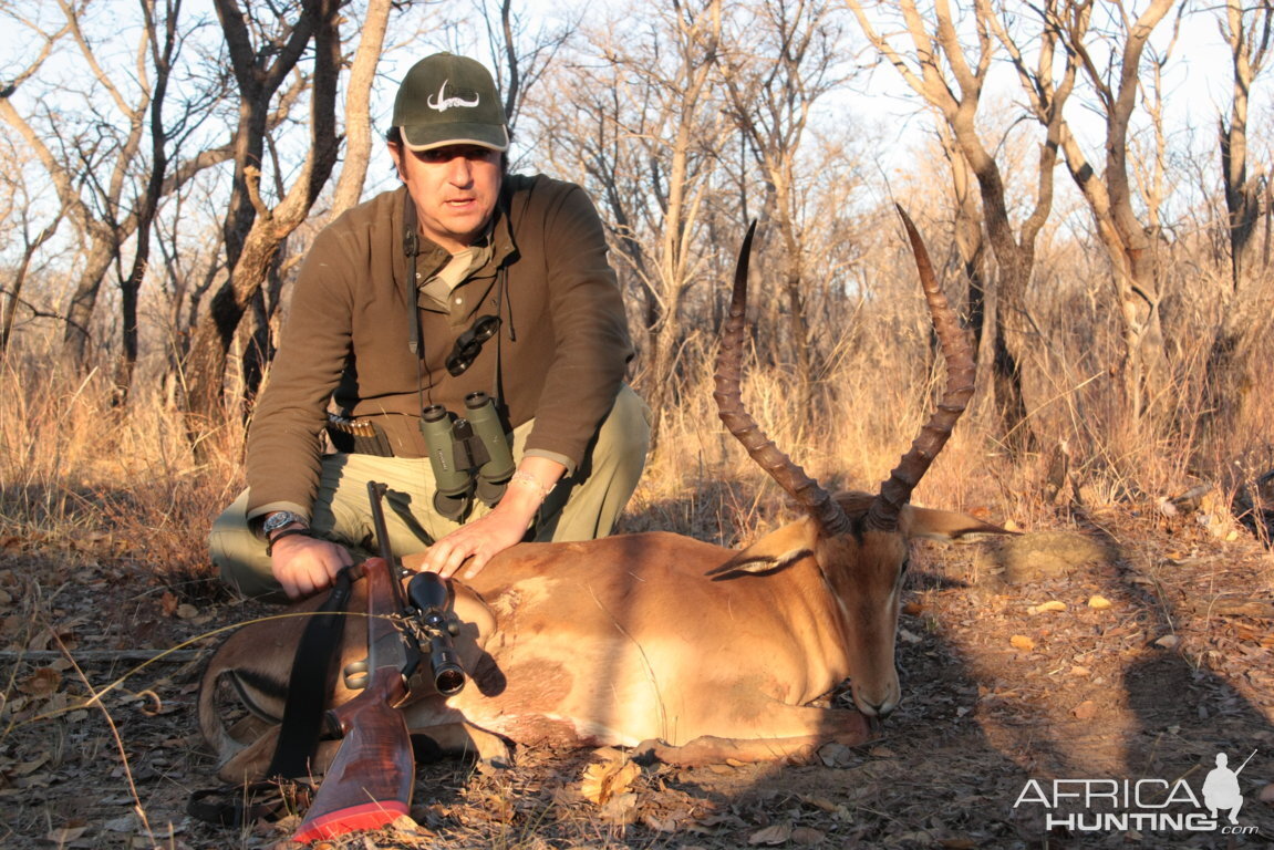 Impala Limpopo