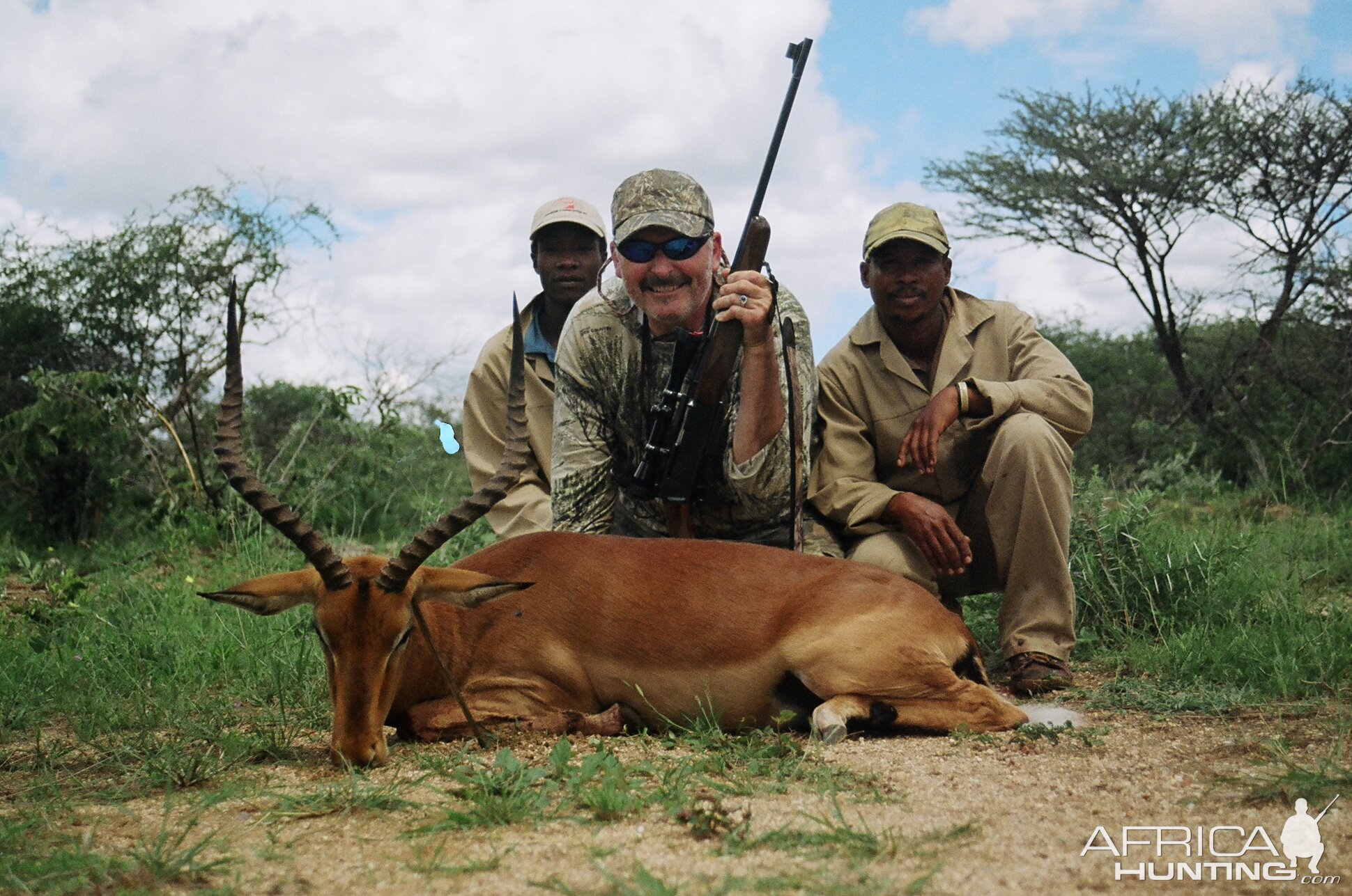 Impala/Namibia