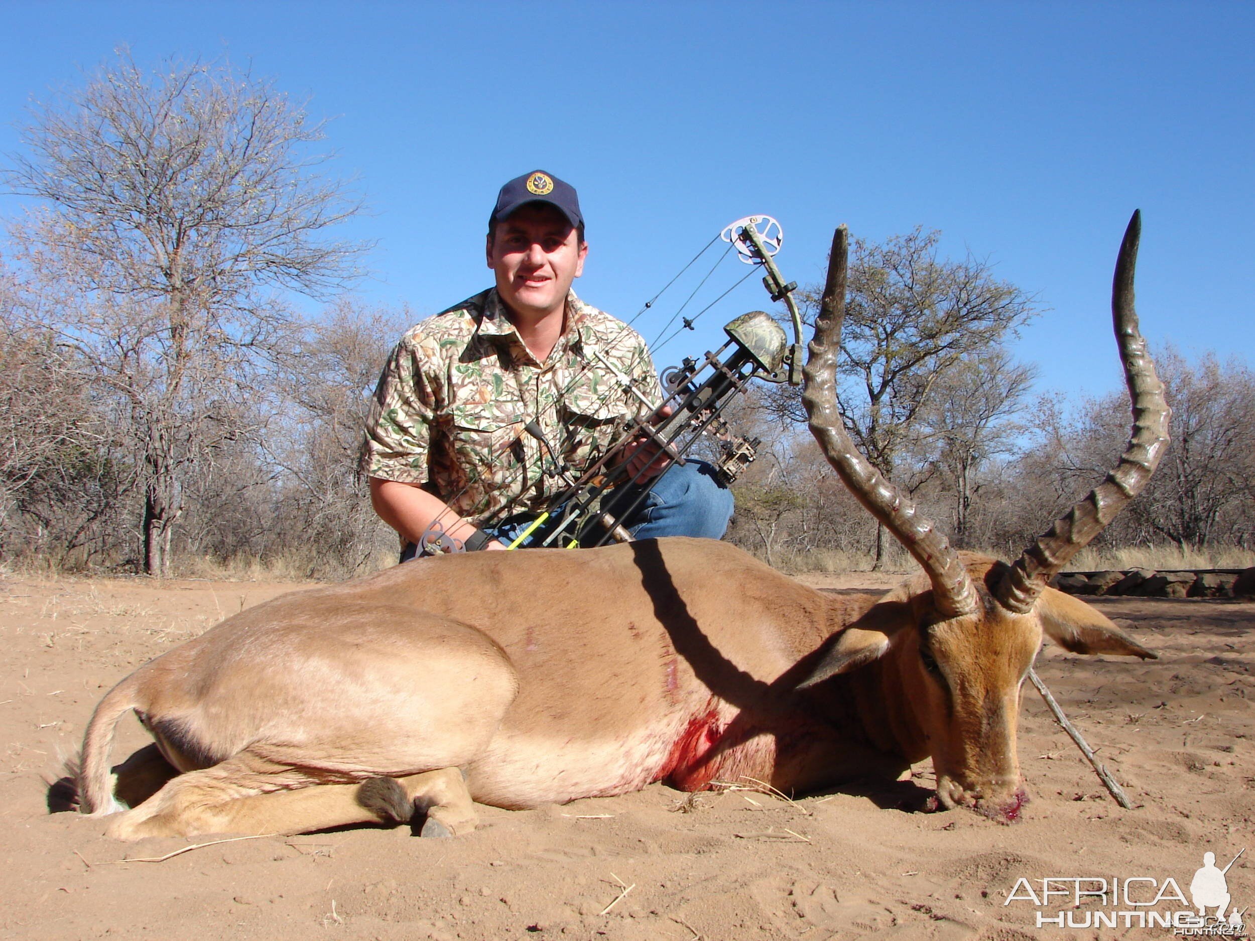 Impala Ram