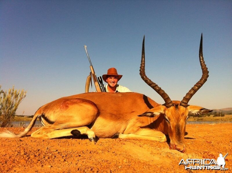 Impala Ram