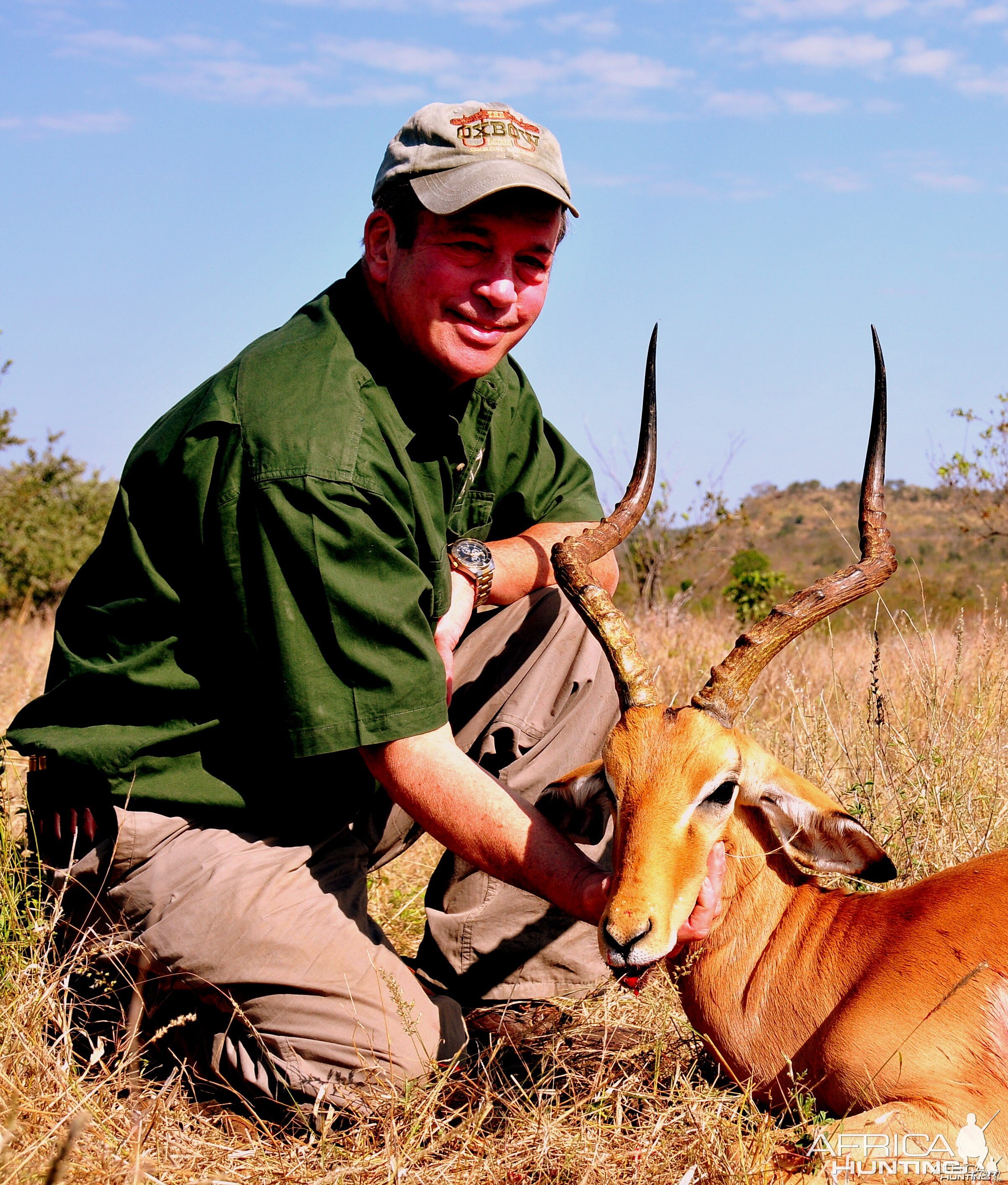 Impala Ram