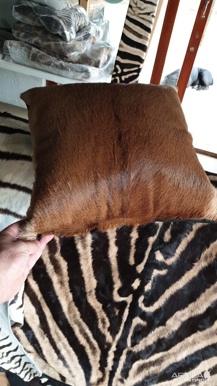 Impala Skin Pillow Taxidermy