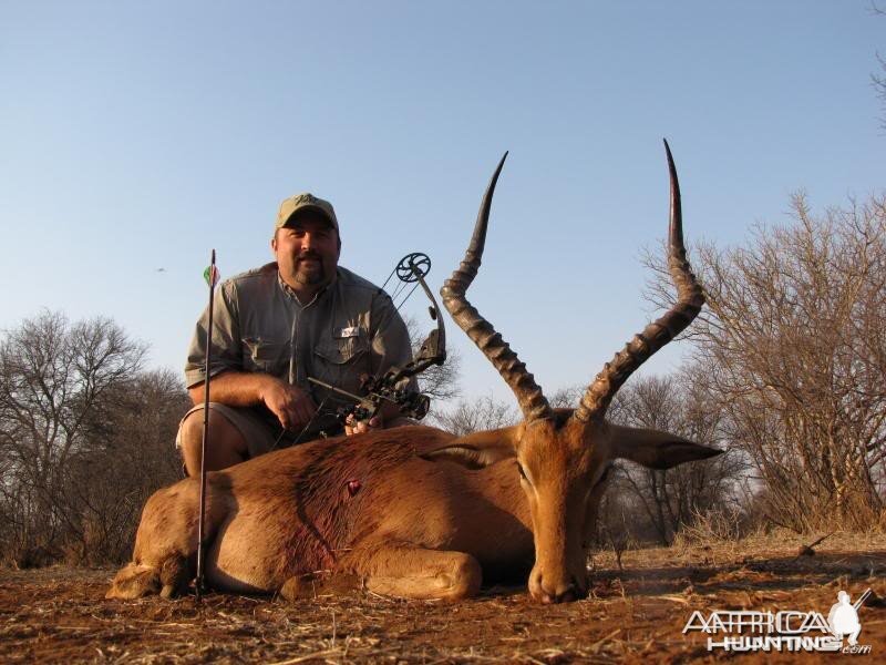 Impala South Africa 23.5 inches