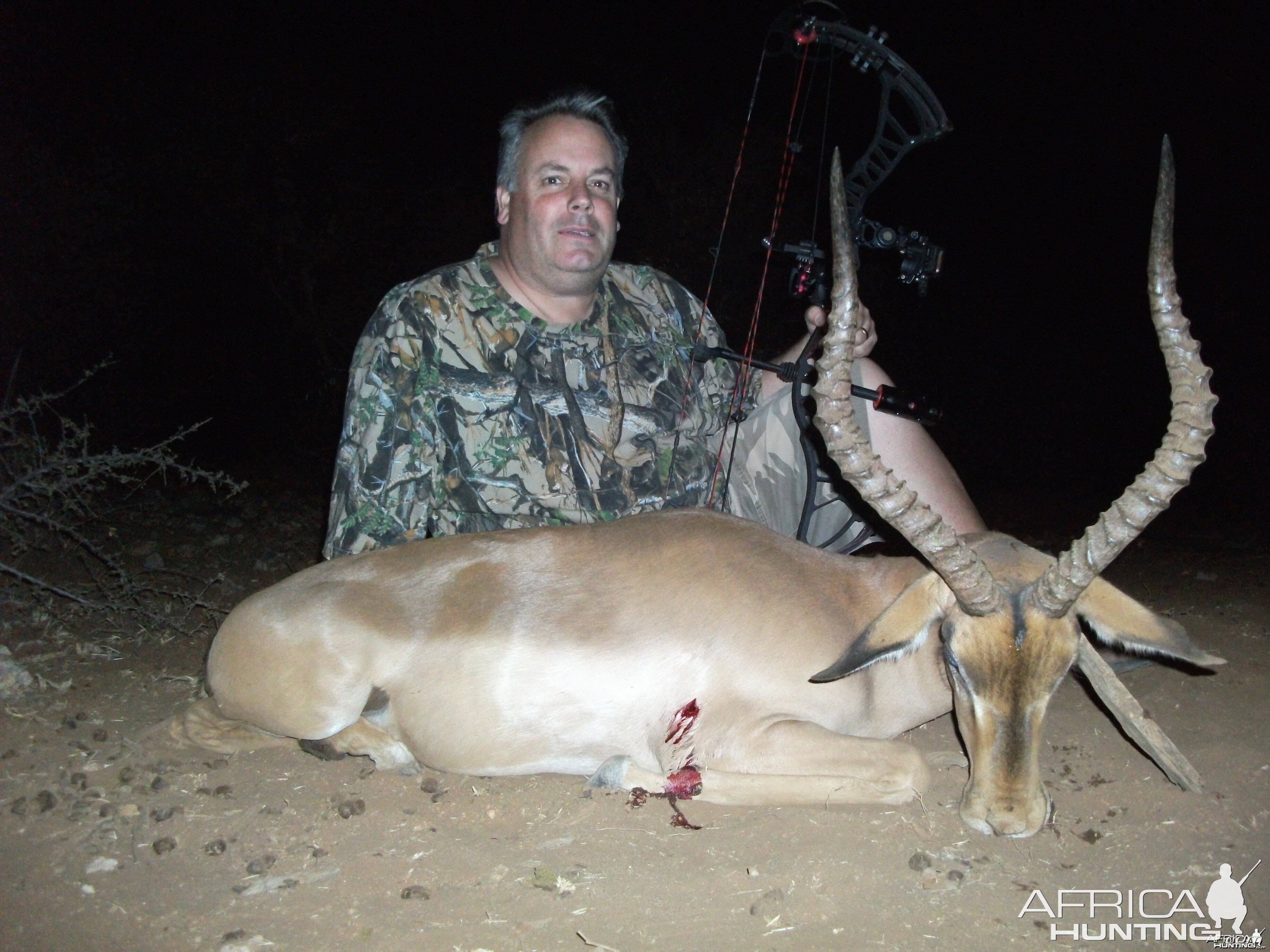 Impala with bow