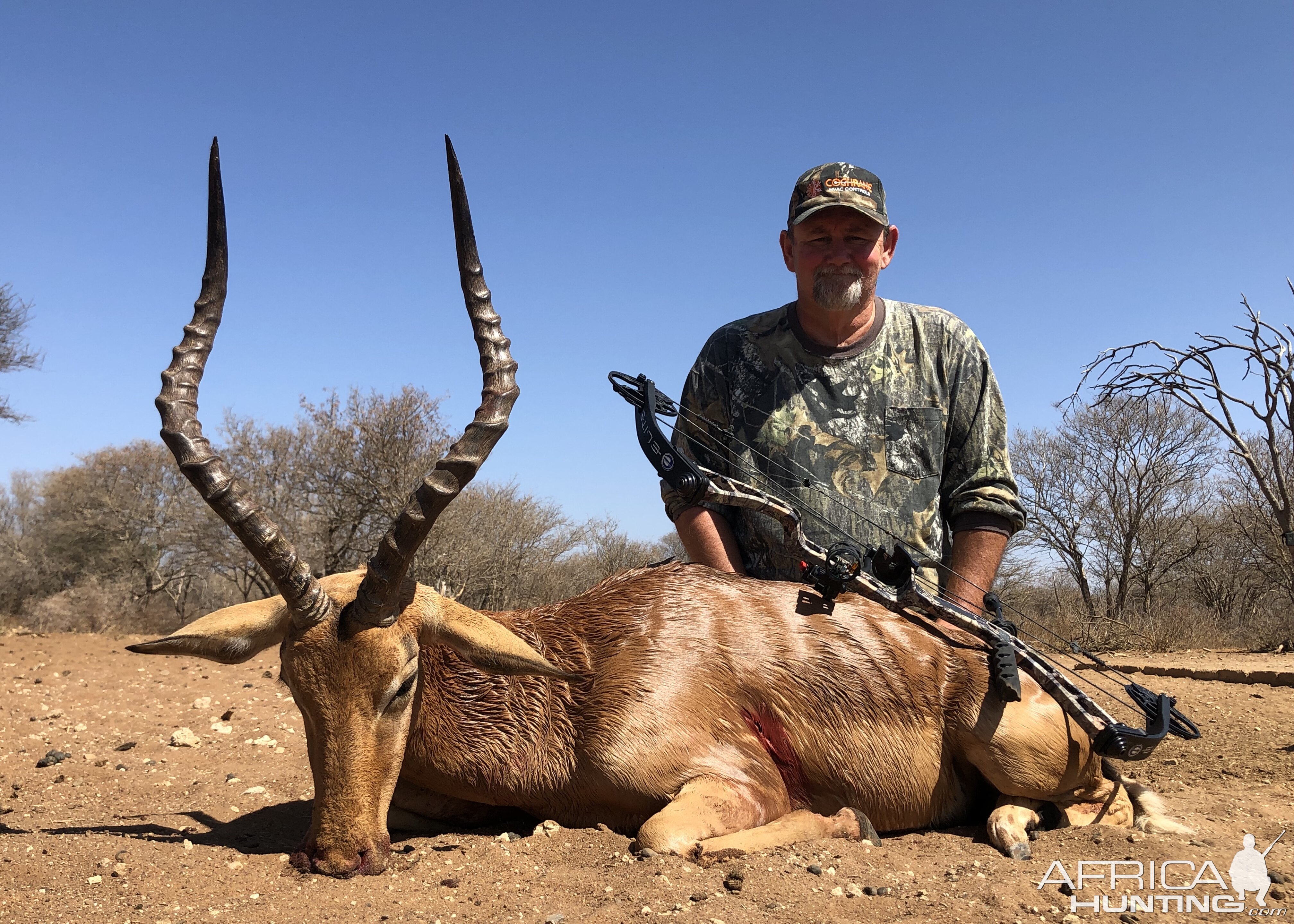 Impala with Compound bow