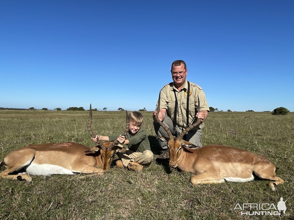 Impala