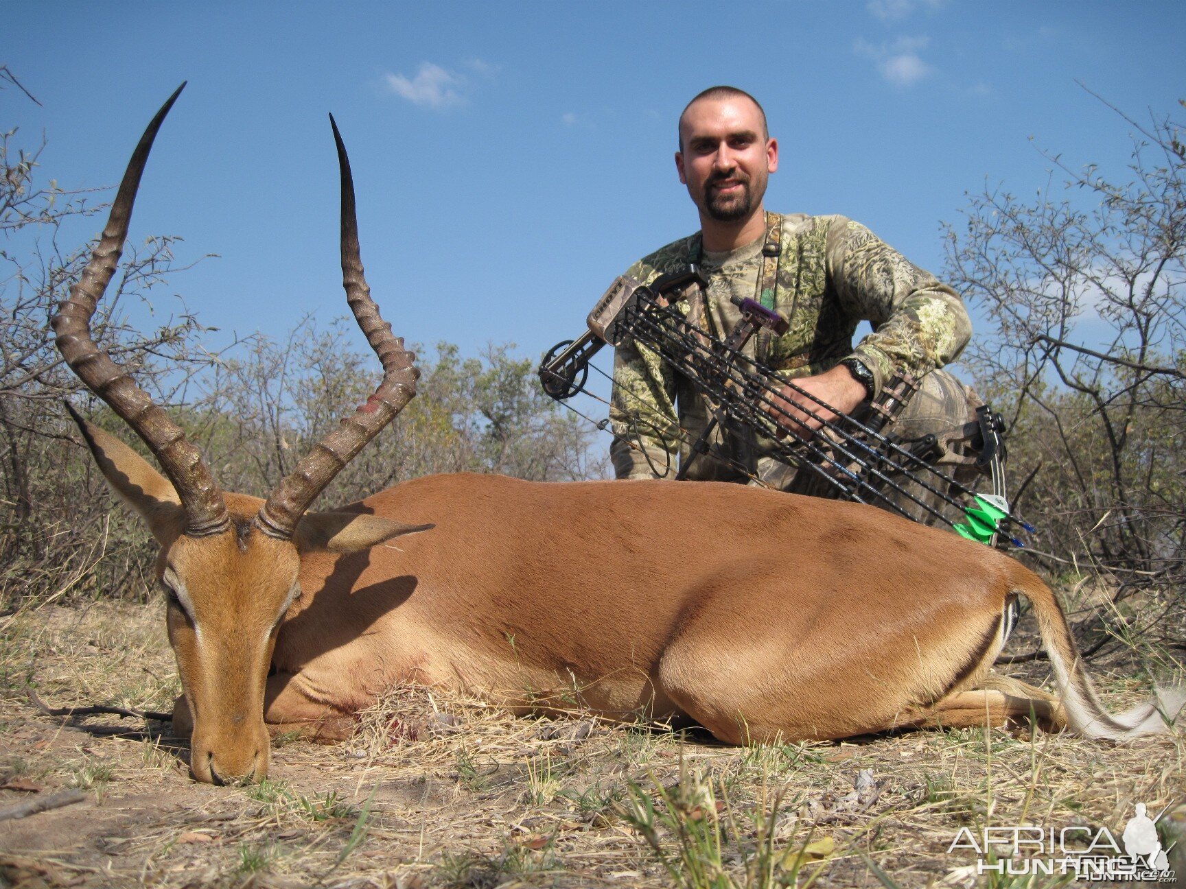 Impala