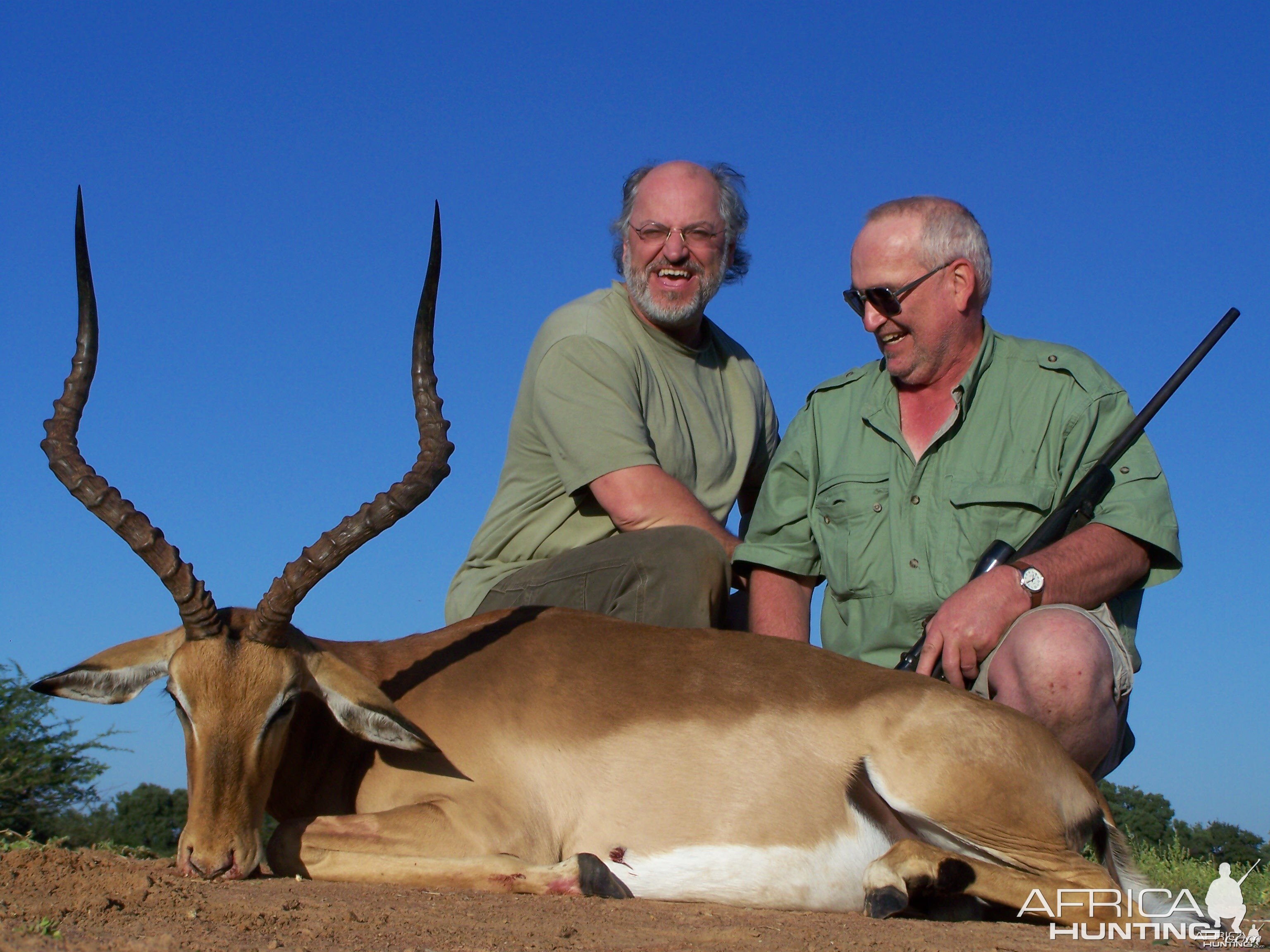 Impala