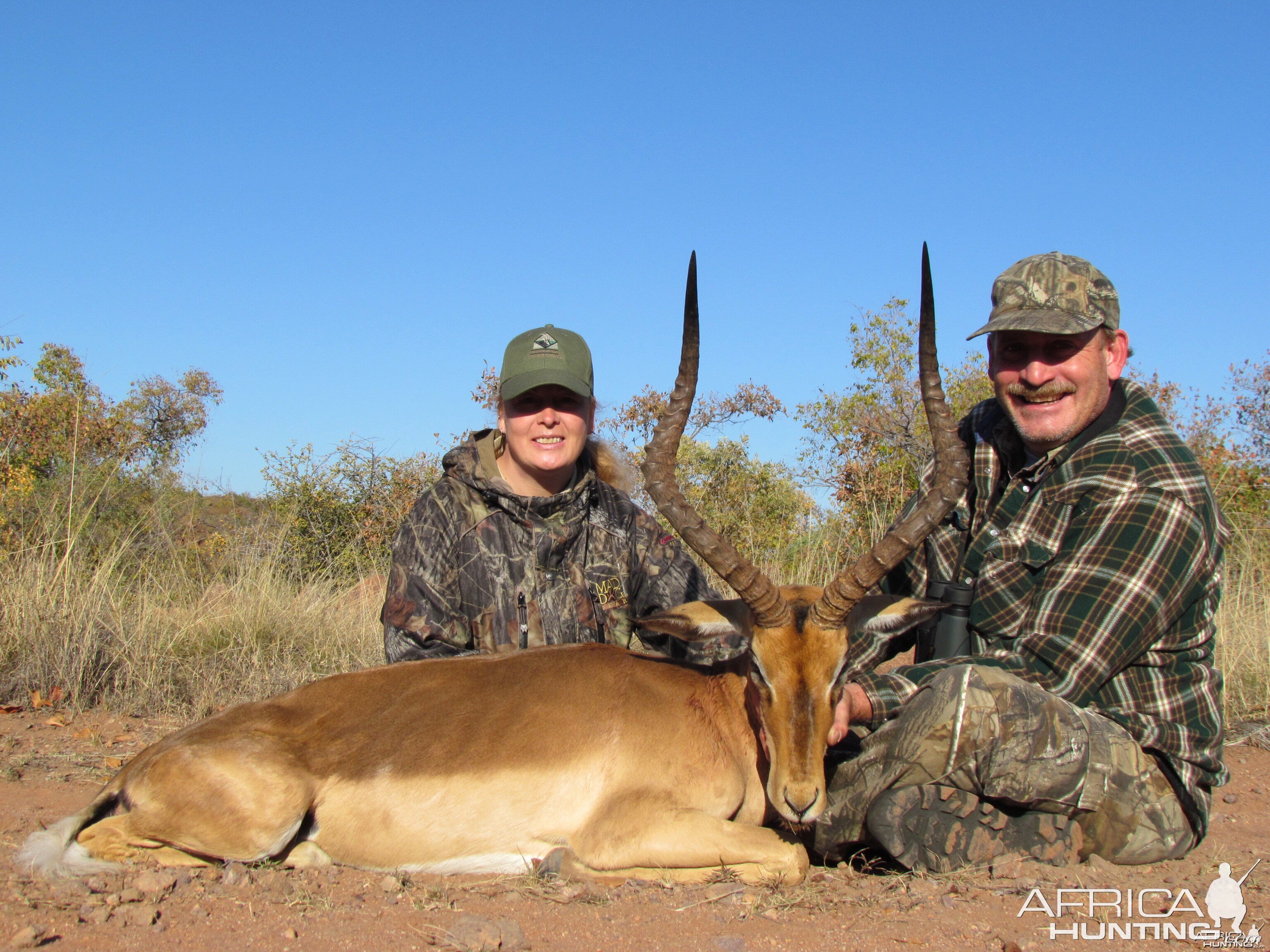 Impala