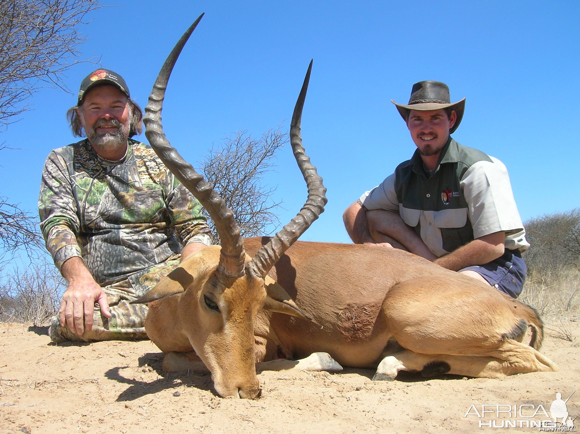 Impala