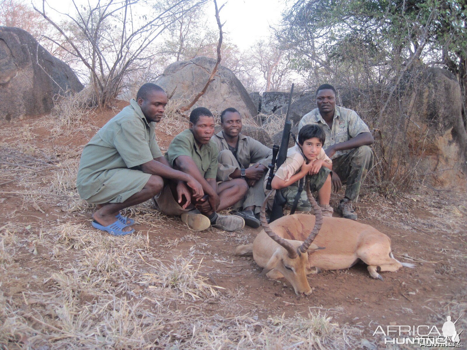 Impala