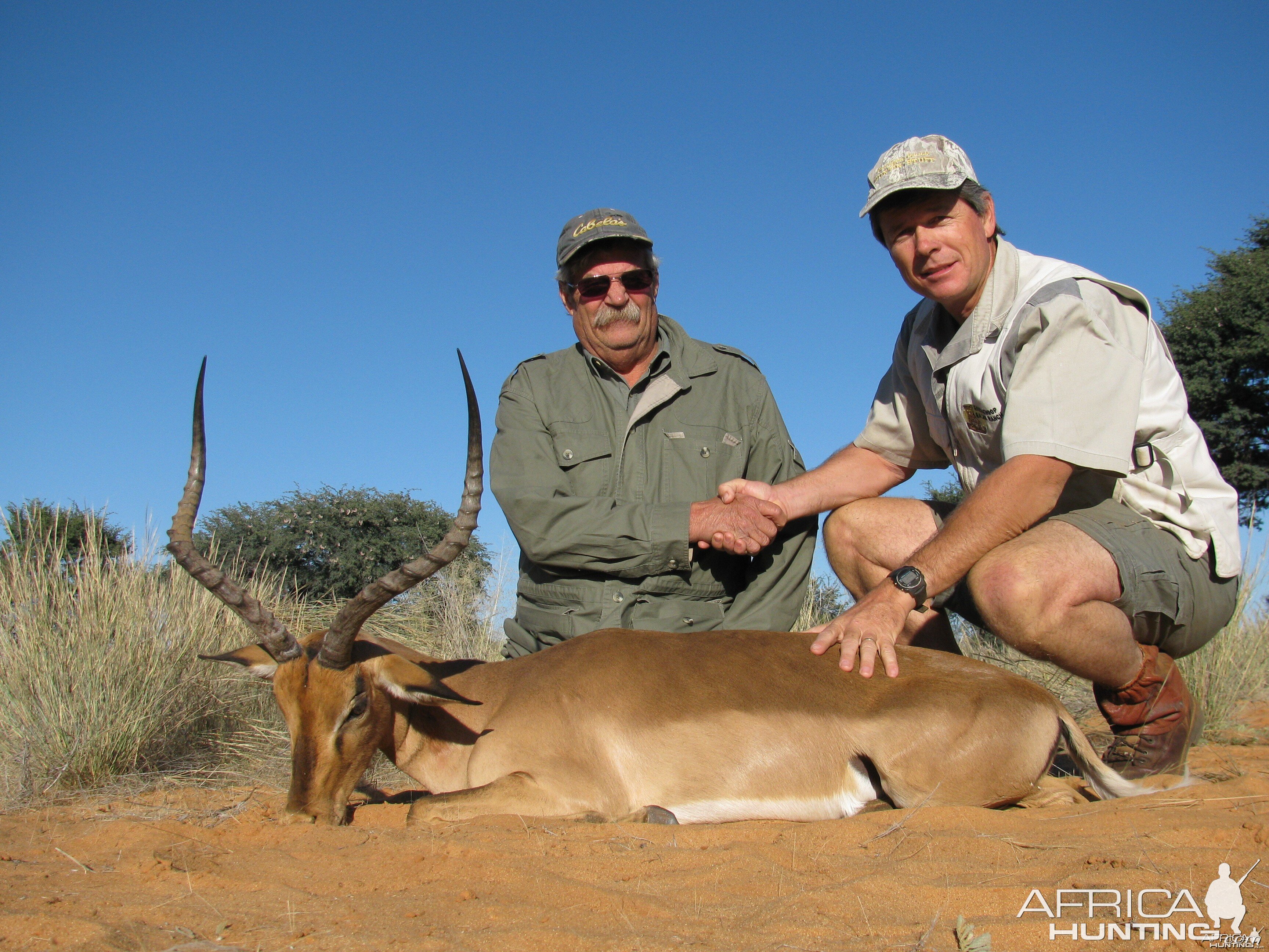 Impala