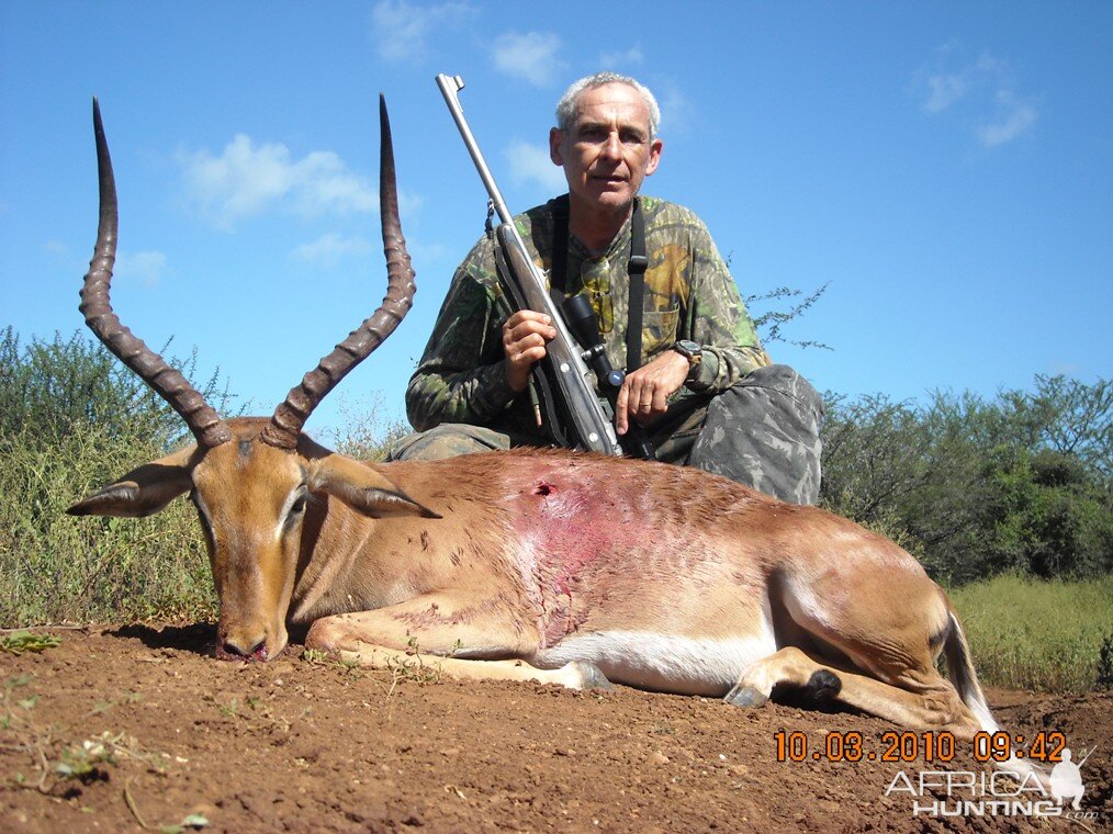 Impala