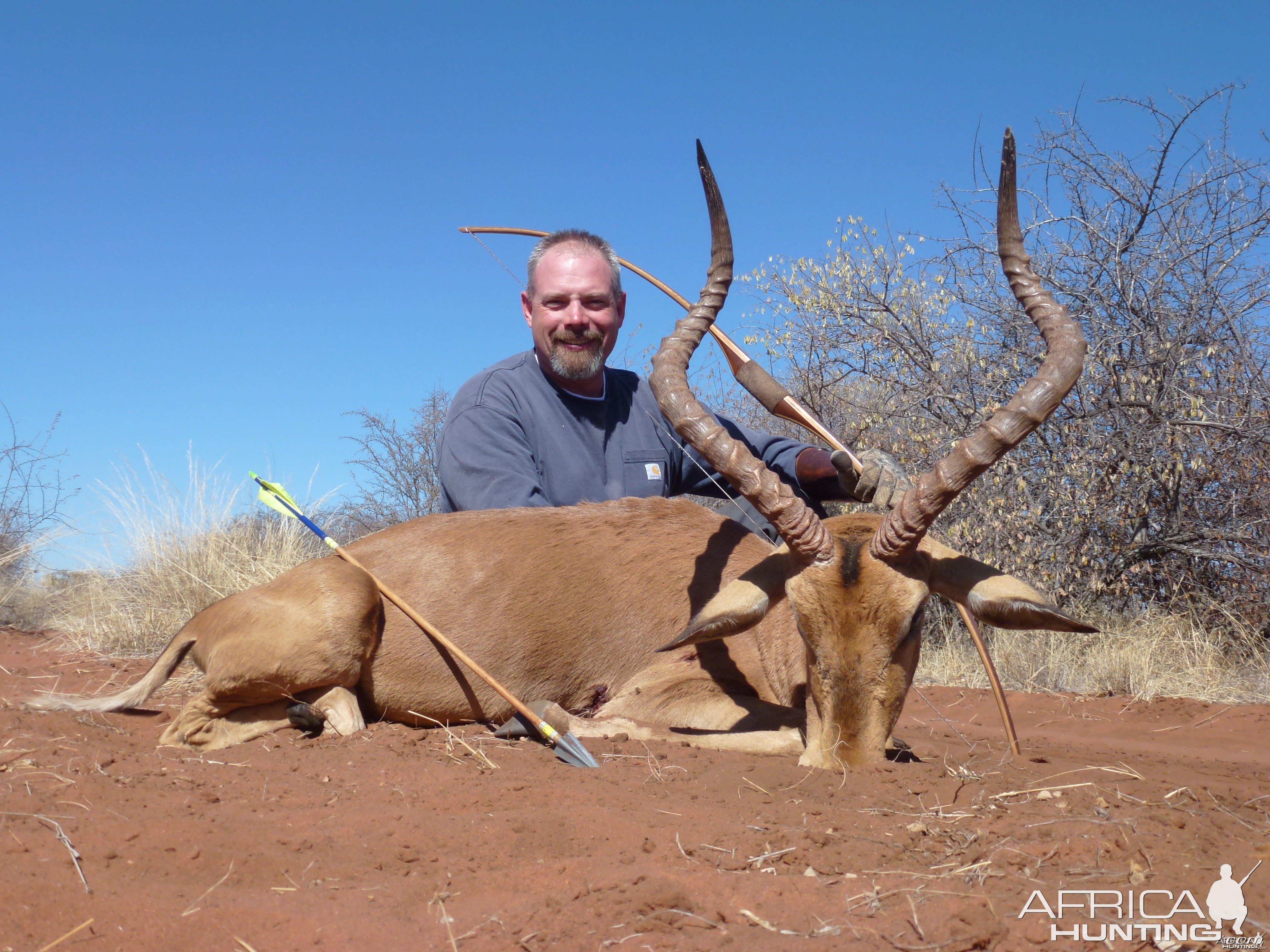 Impala